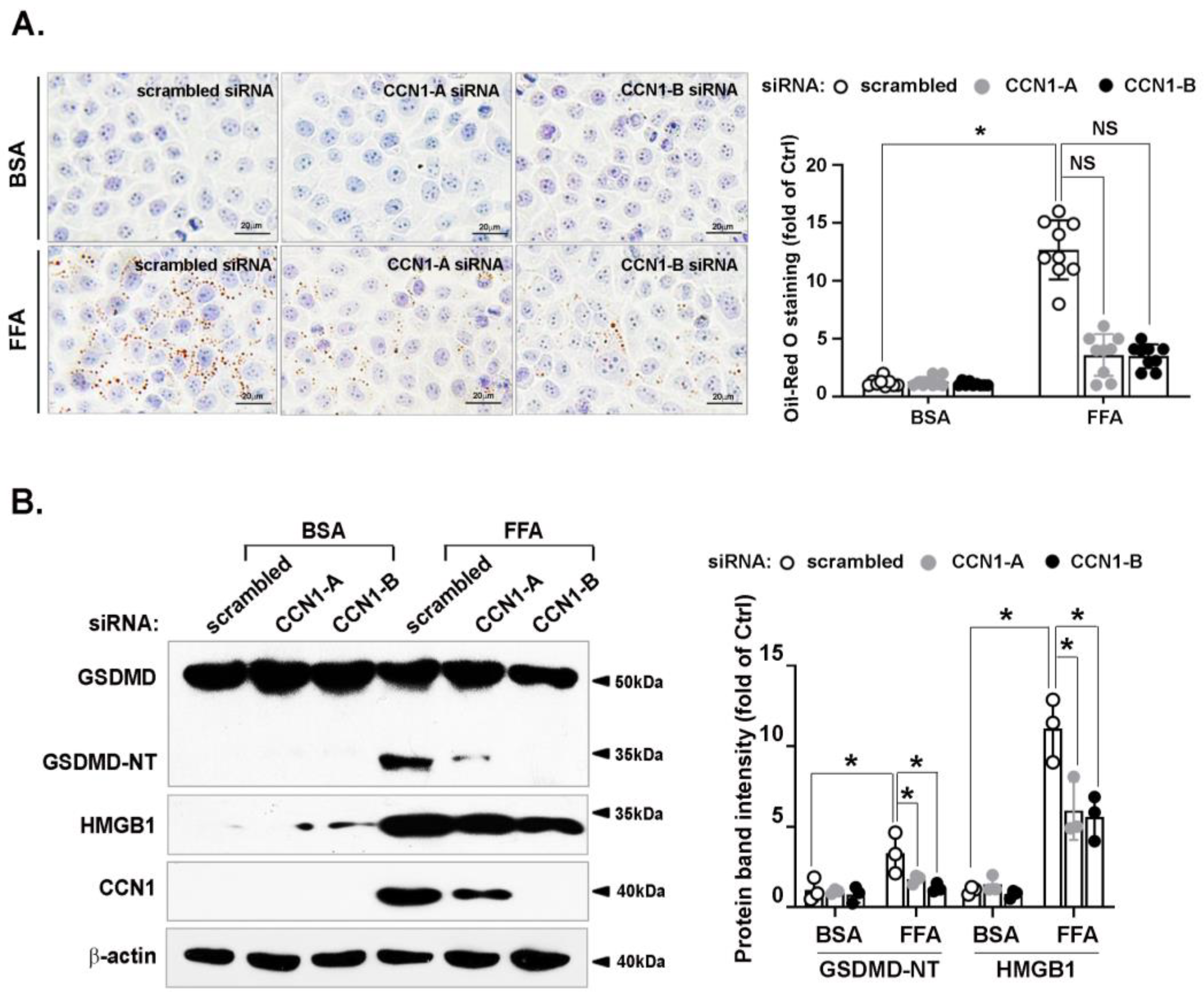Nutrients 14 03871 g003 Nutrients 14 03871 g003