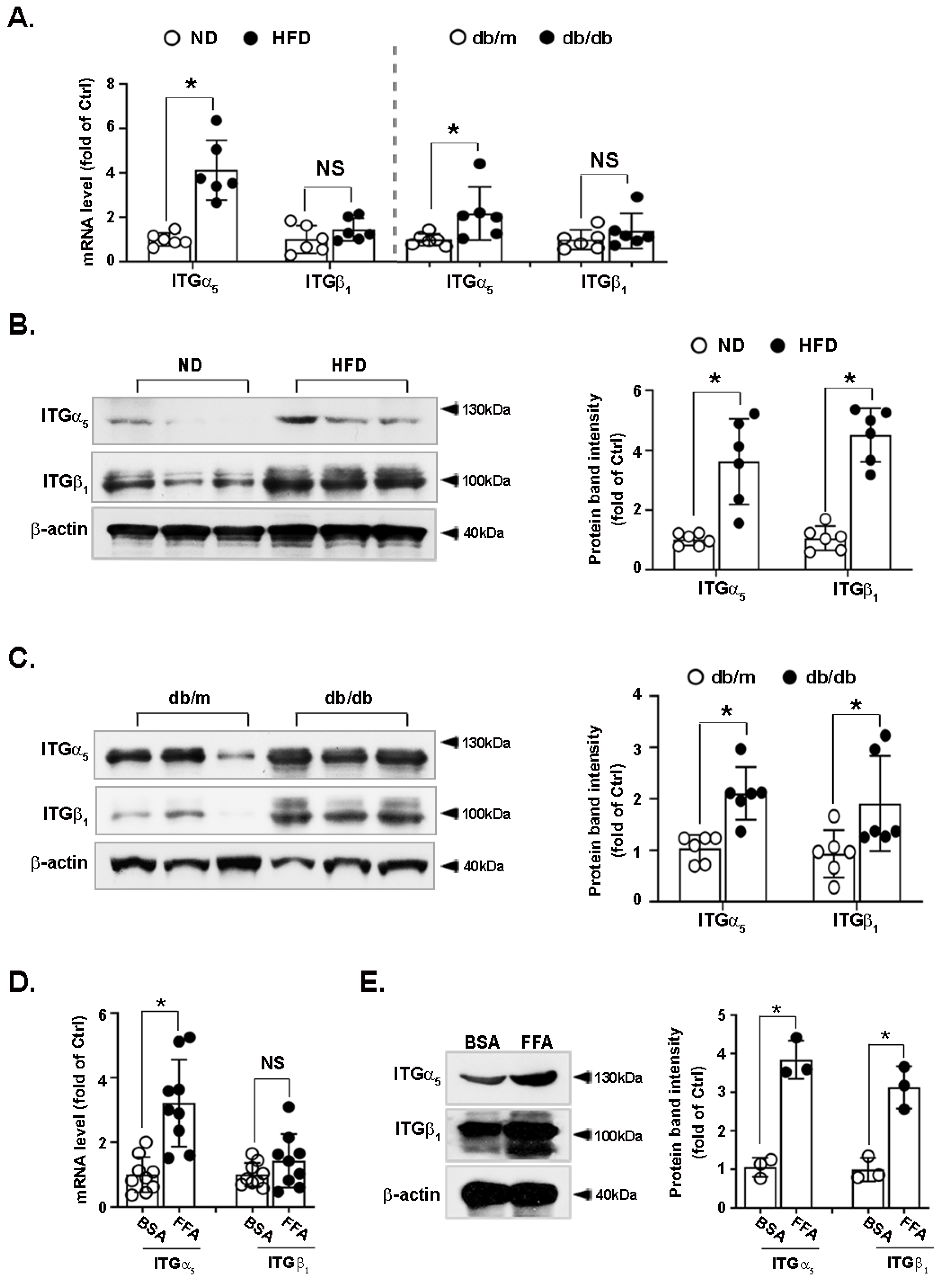 Nutrients 14 03871 g004 Nutrients 14 03871 g004