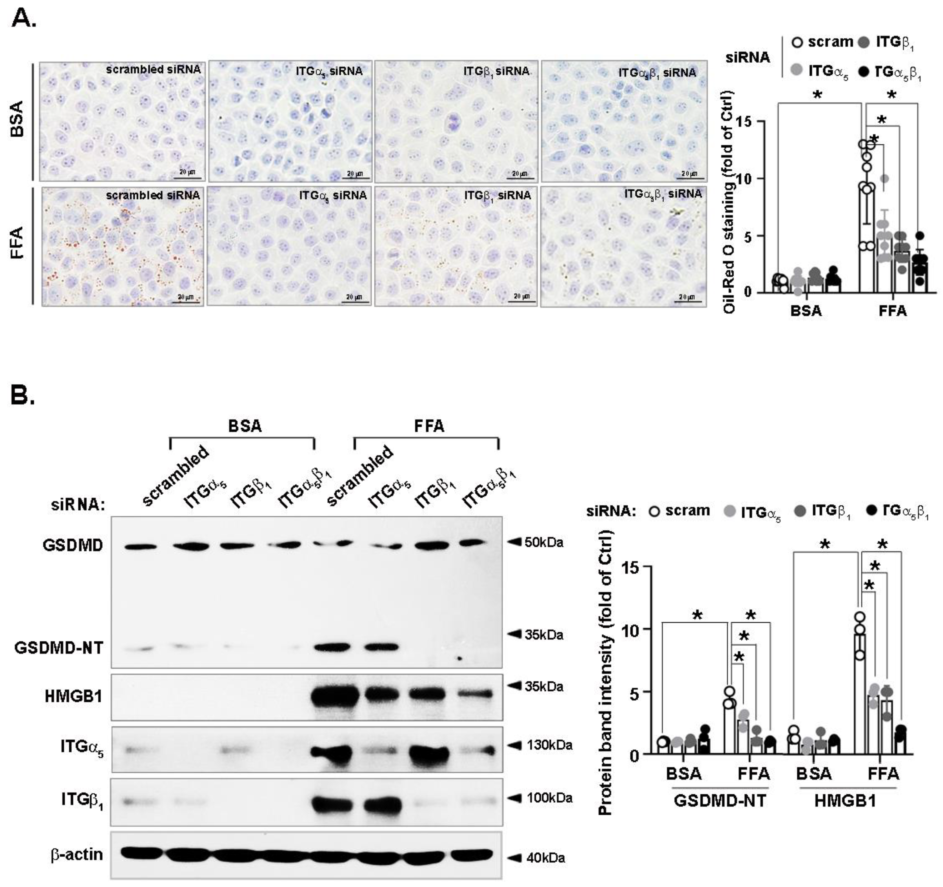Nutrients 14 03871 g007 Nutrients 14 03871 g007