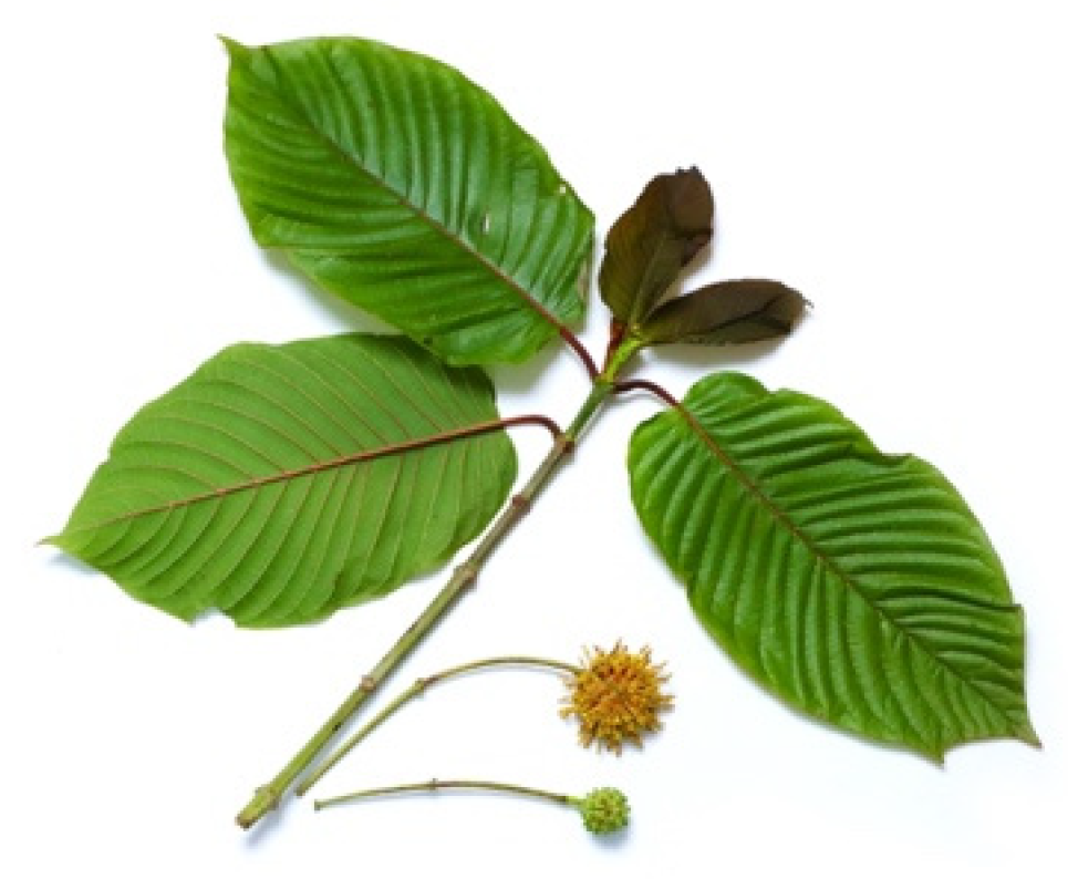 Nutrients 14 03909 g001 Nutrients 14 03909 g001