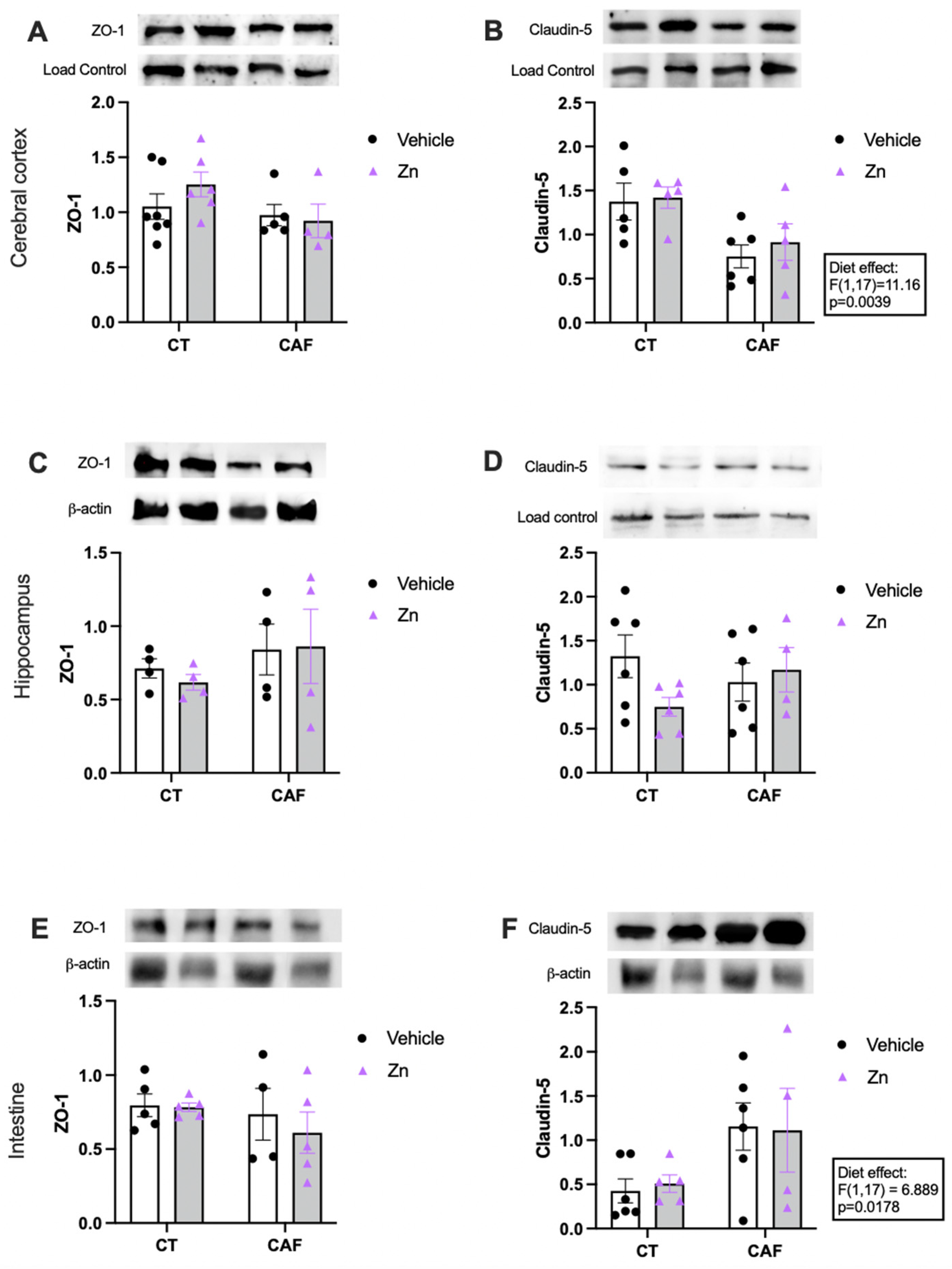 Nutrients 14 03921 g004
