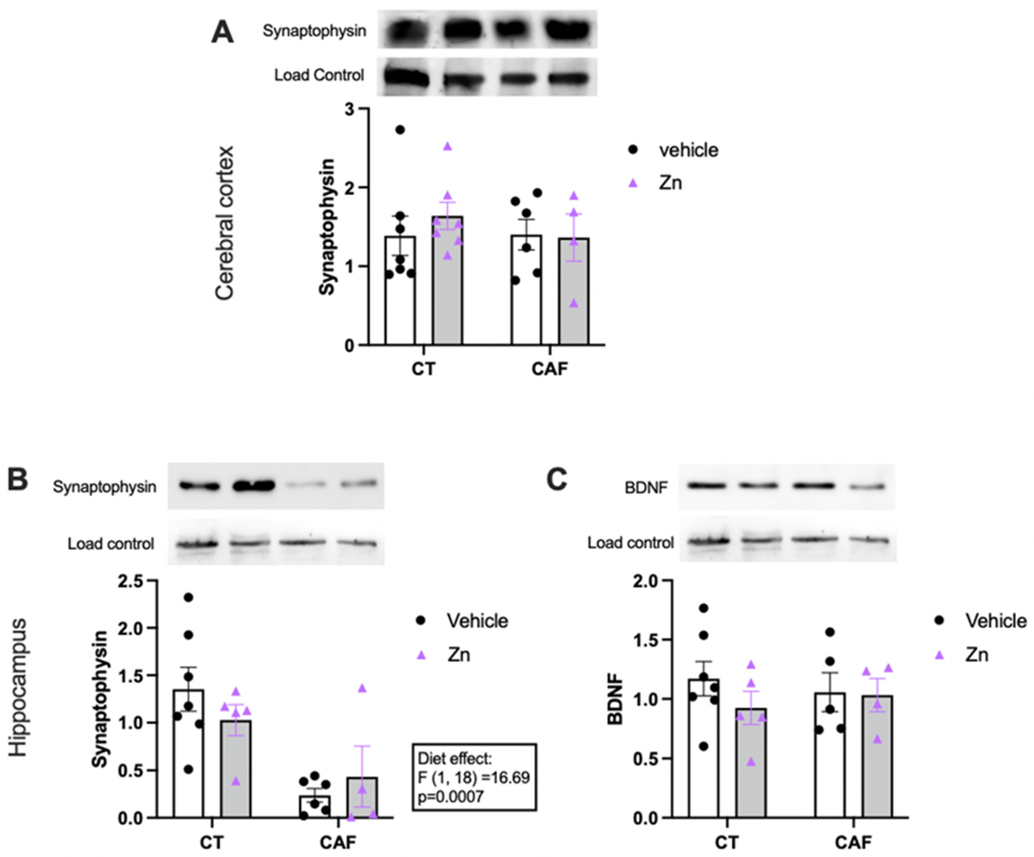 Nutrients 14 03921 g005