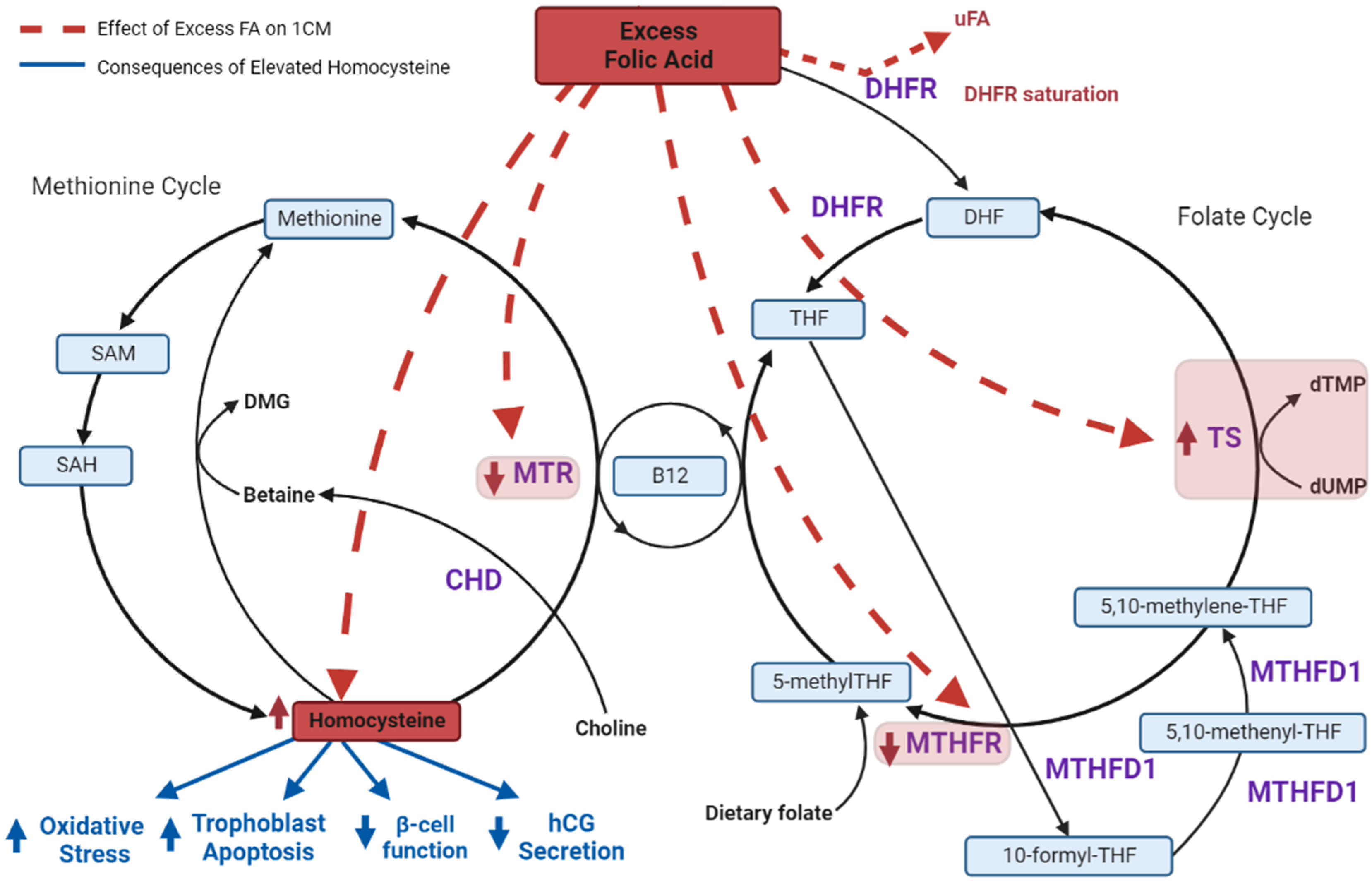 Nutrients 14 03930 g003 Nutrients 14 03930 g003
