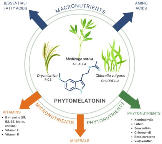 Research is shedding new light on salt, a misunderstood nutrient