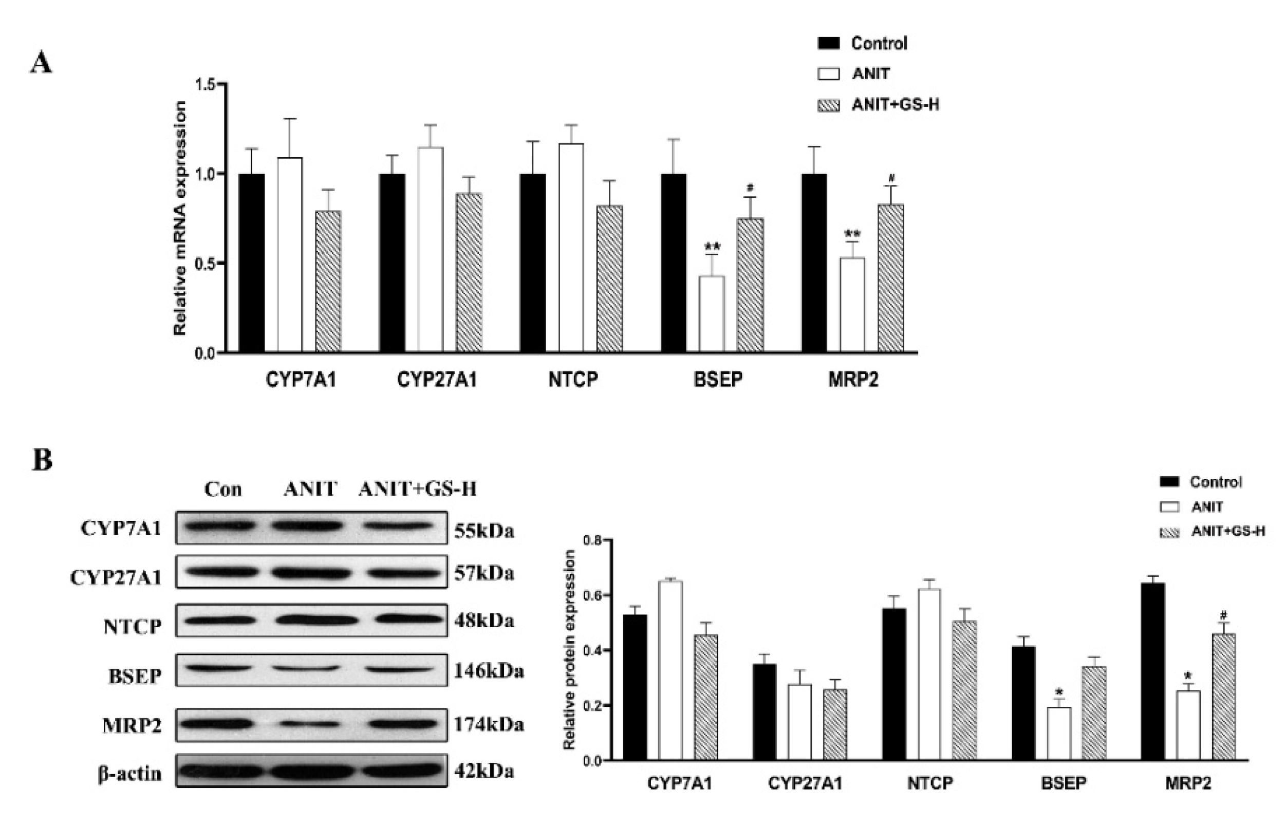 Nutrients 14 03938 g003