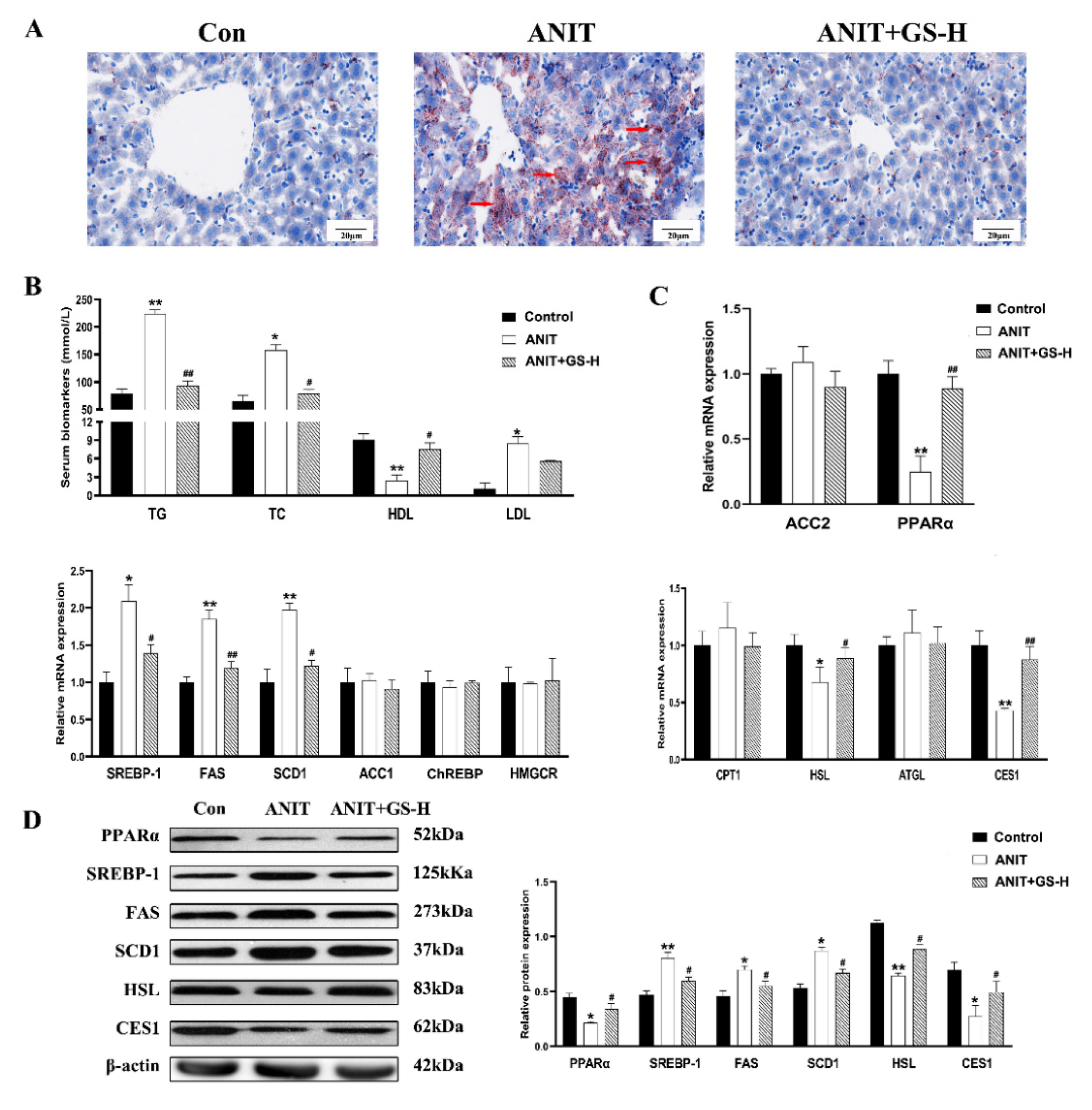 Nutrients 14 03938 g004
