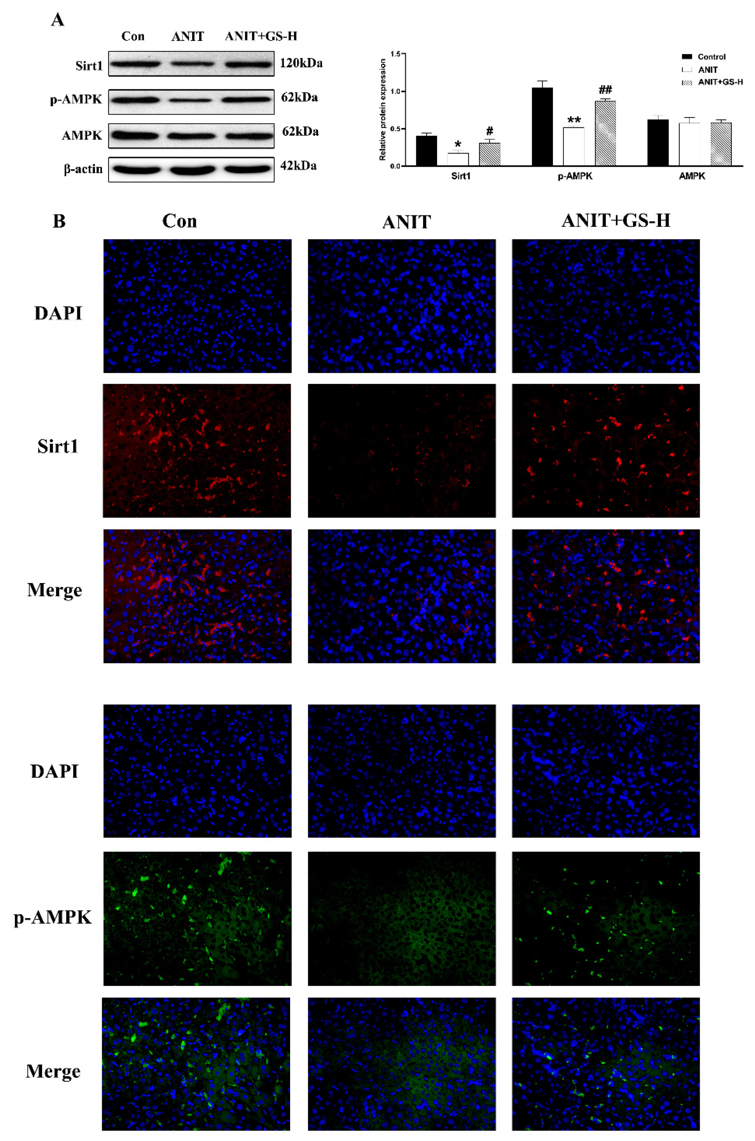 Nutrients 14 03938 g007