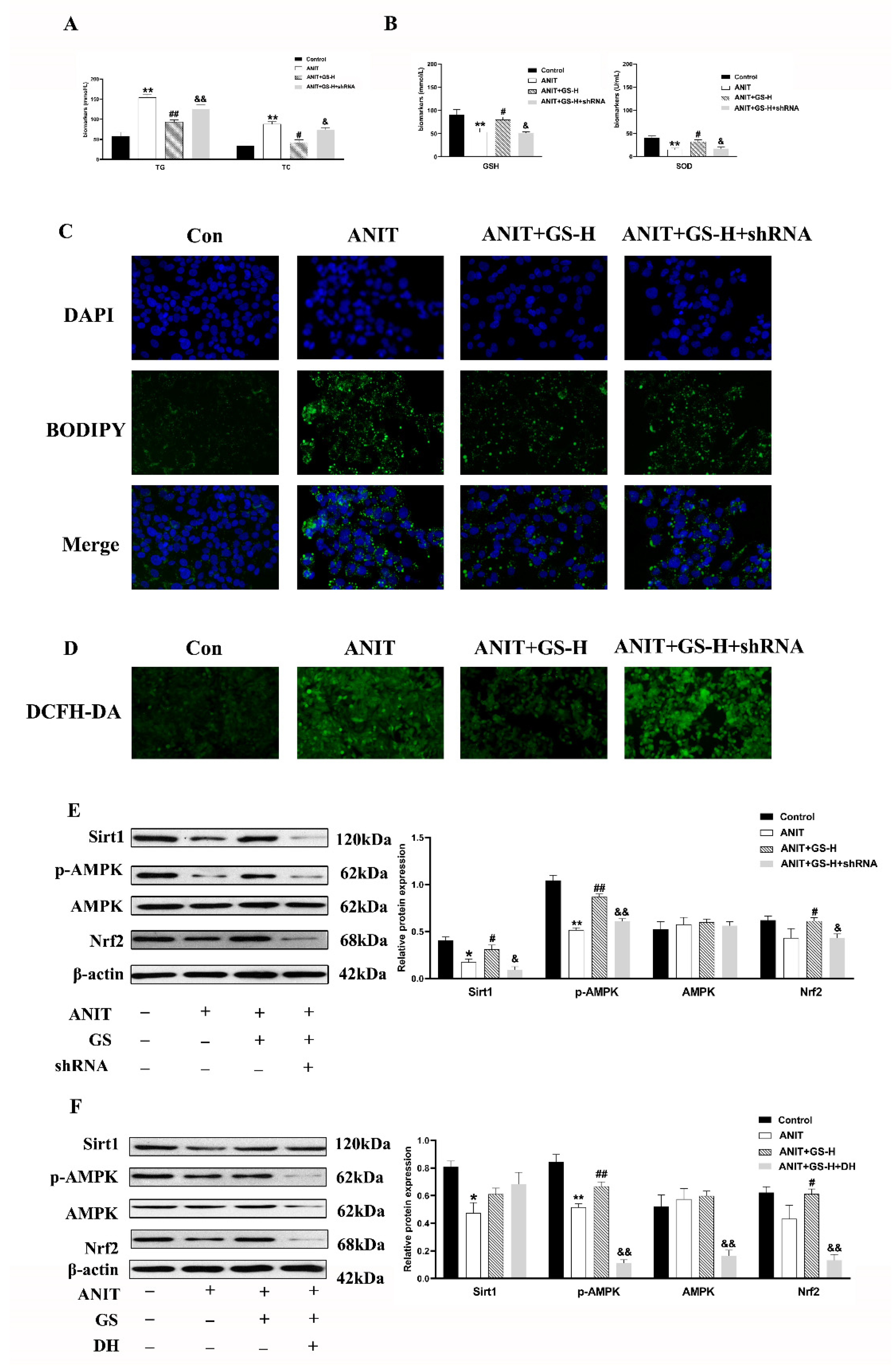 Nutrients 14 03938 g008
