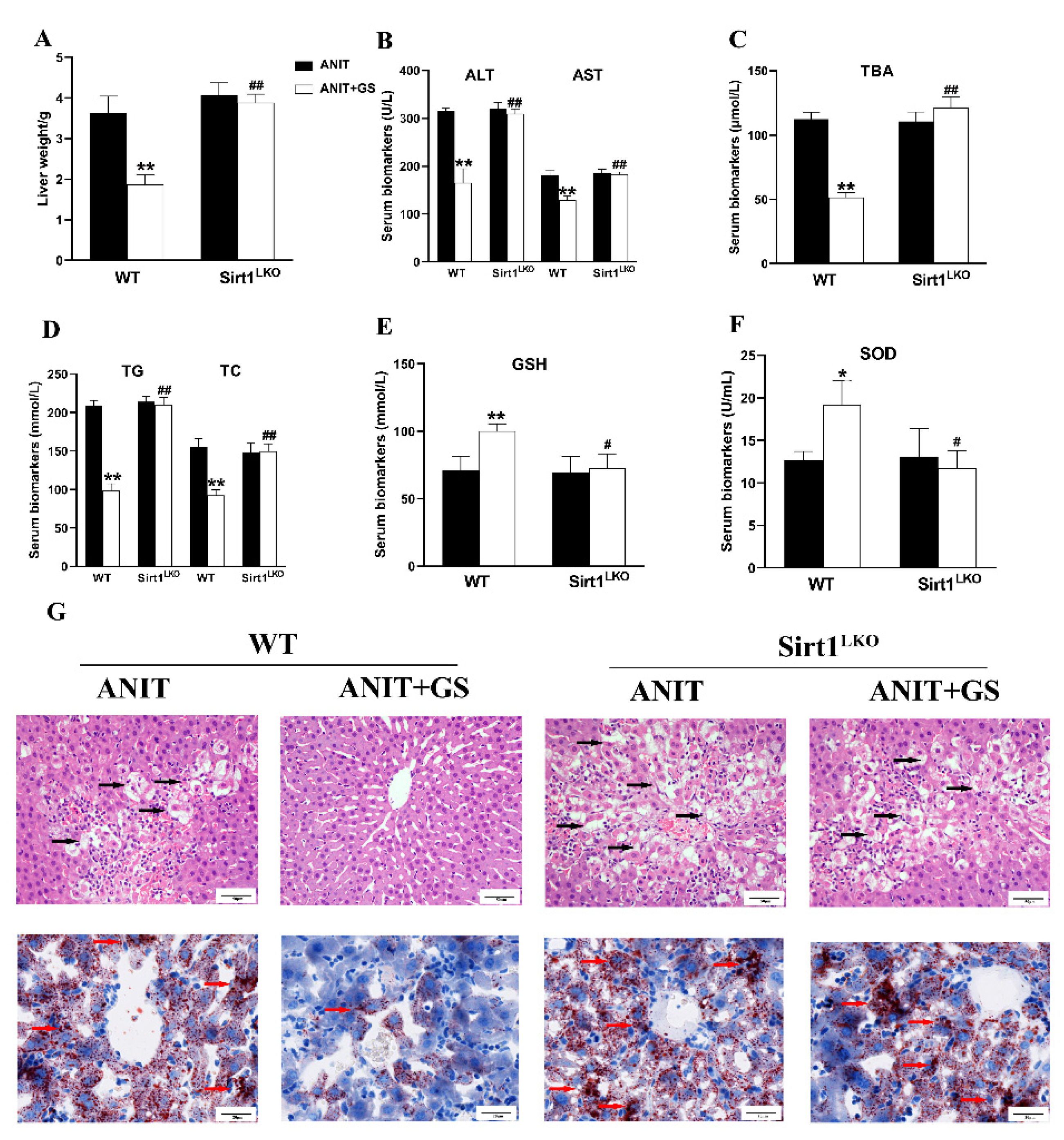 Nutrients 14 03938 g009
