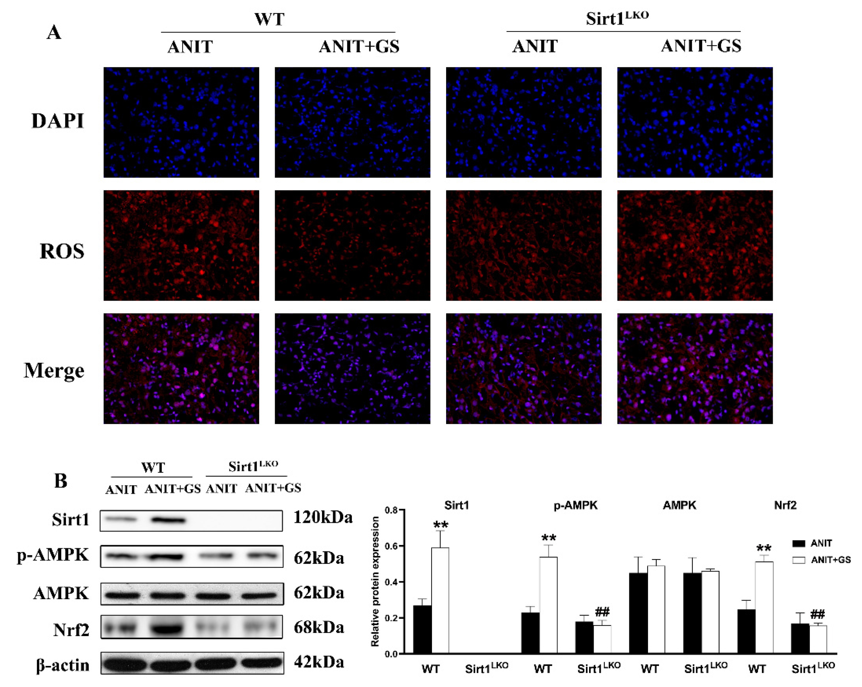 Nutrients 14 03938 g010