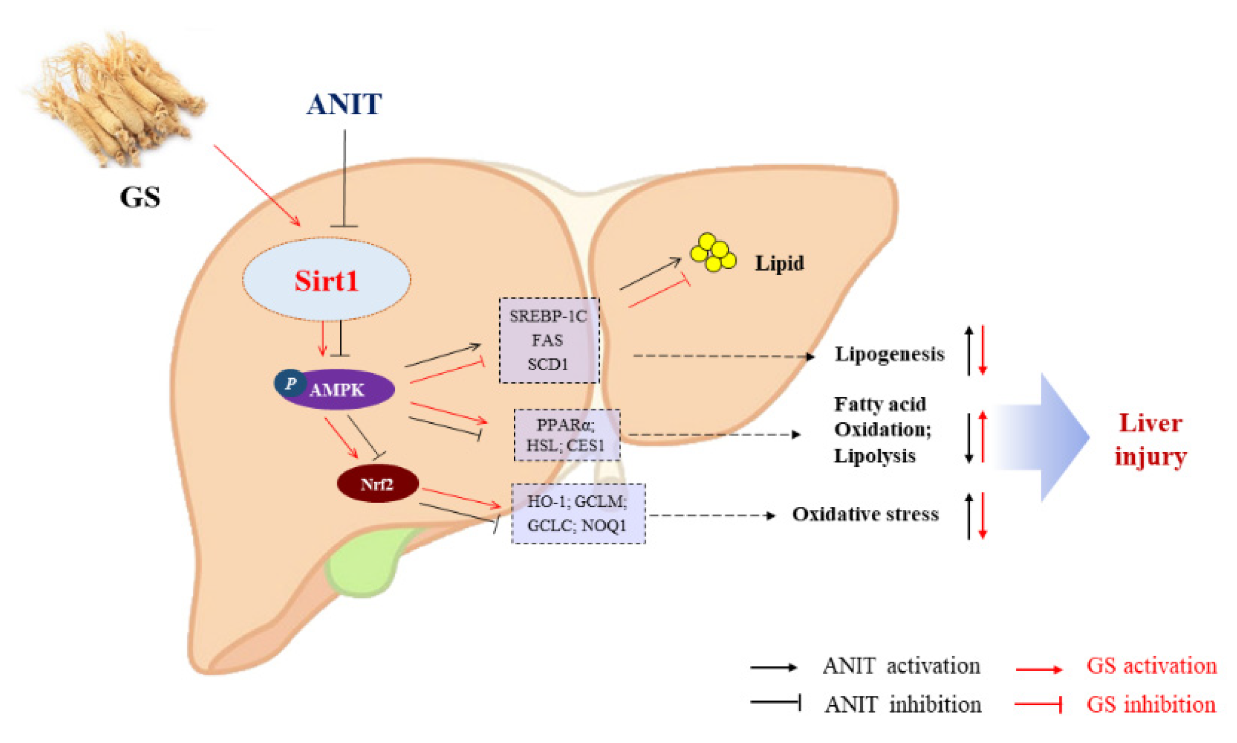 Nutrients 14 03938 g011