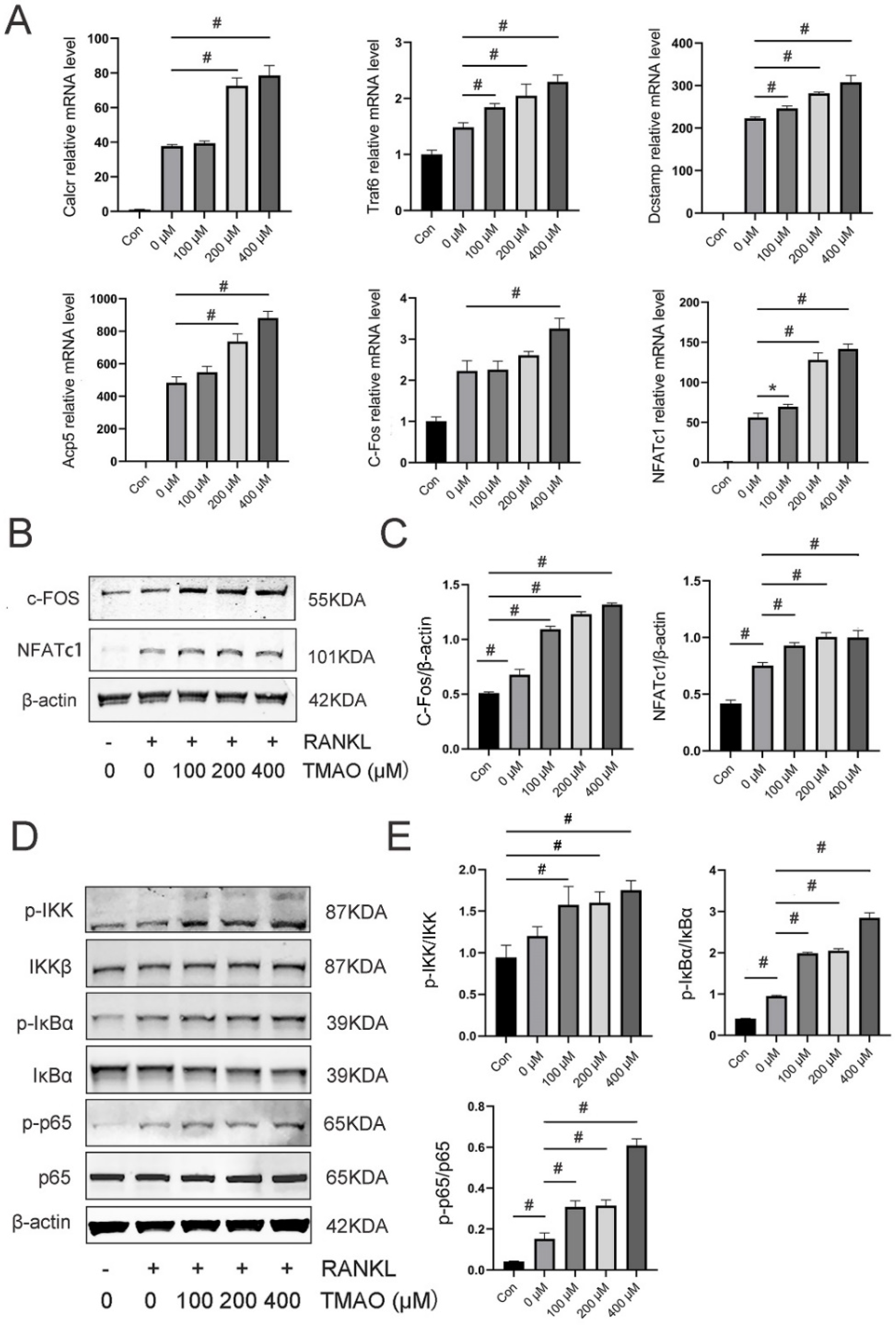 Nutrients 14 03955 g003