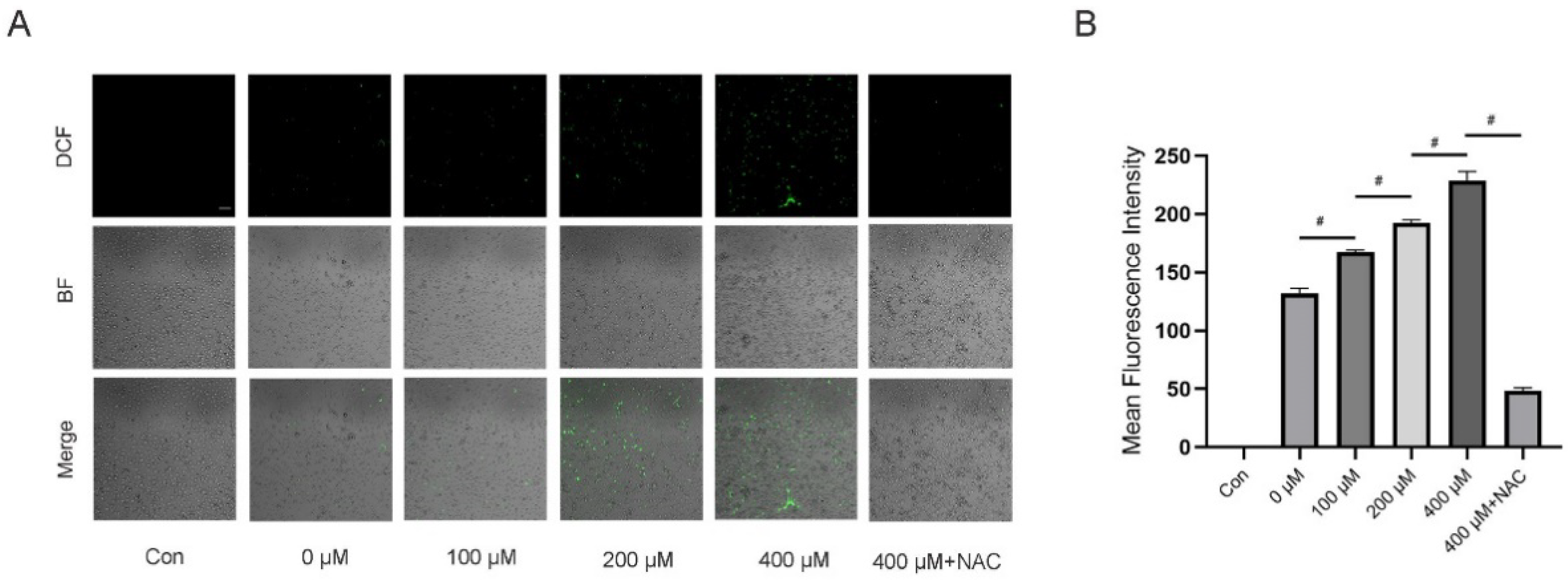 Nutrients 14 03955 g005