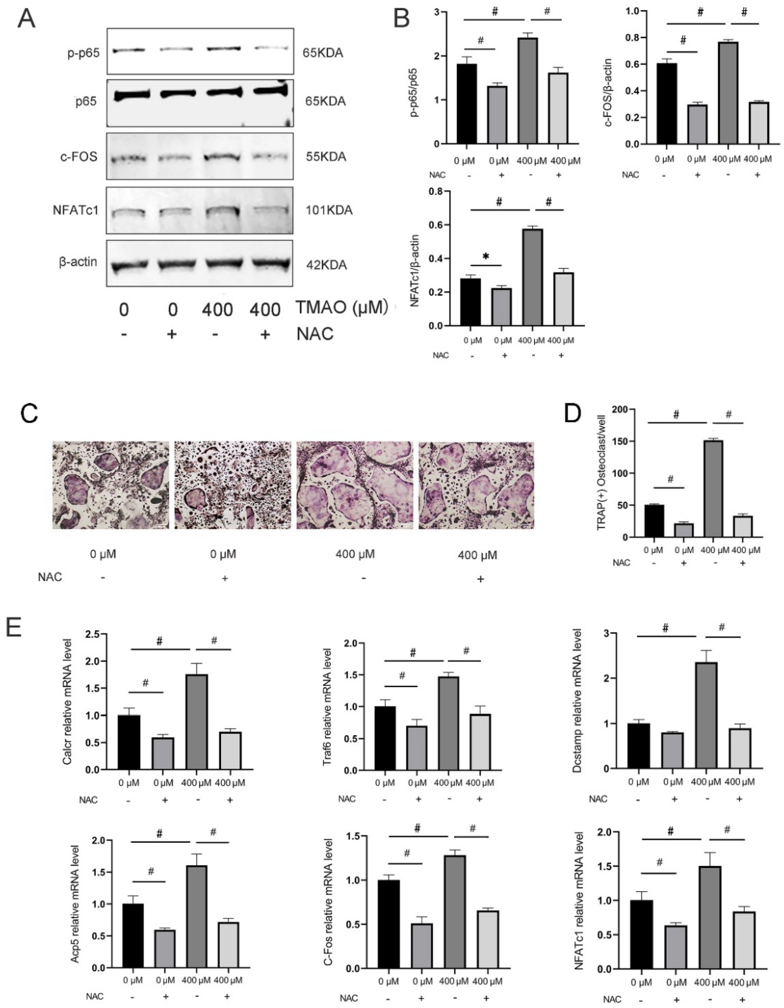 Nutrients 14 03955 g006