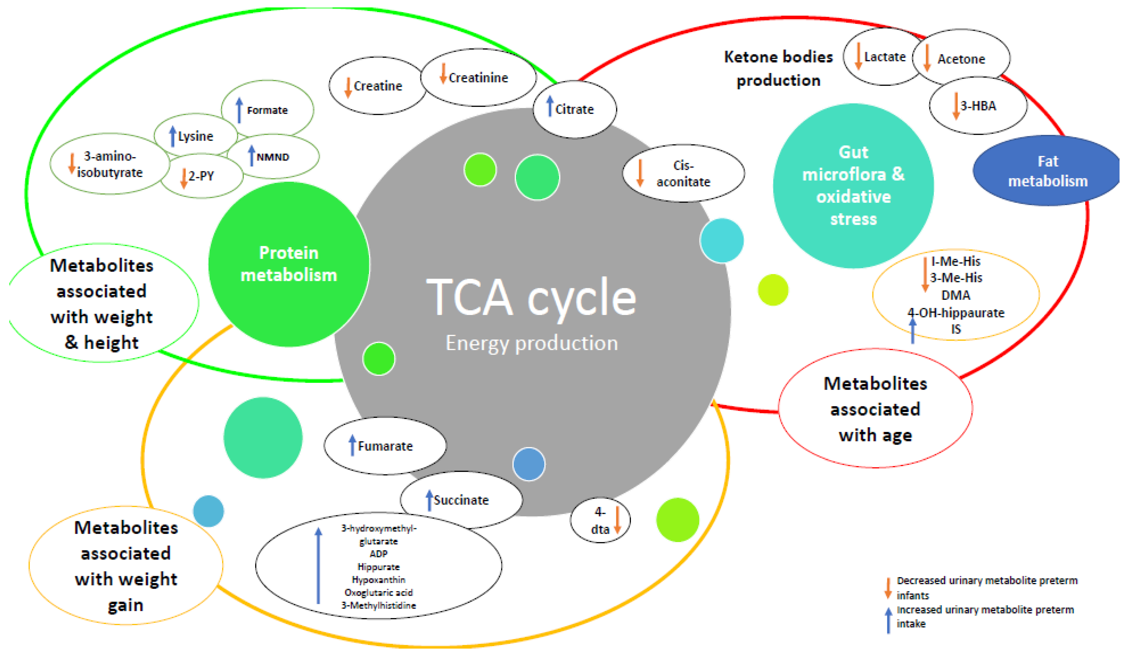 Nutrients 14 03957 g003
