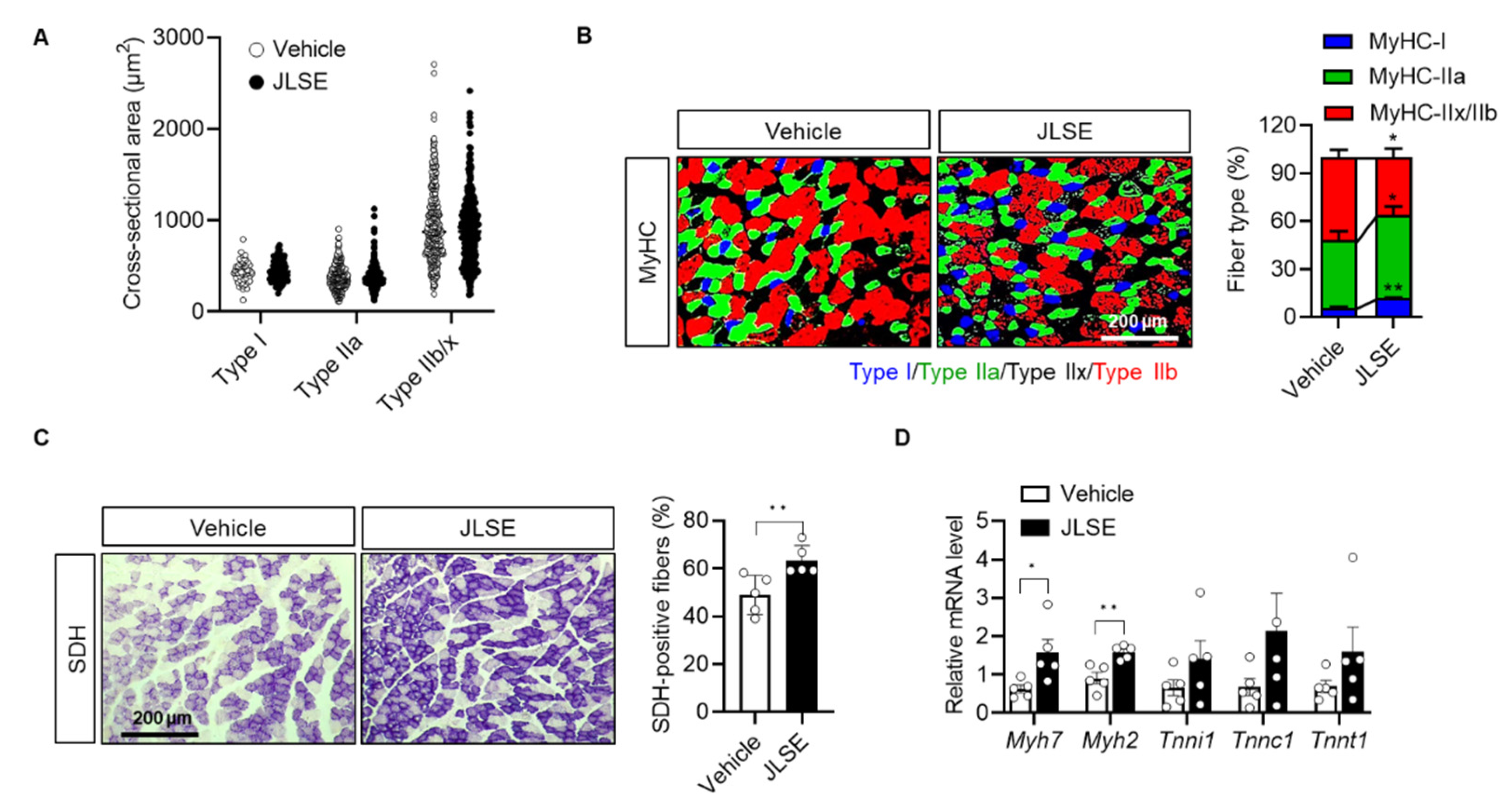 Nutrients 14 04033 g004 Nutrients 14 04033 g004
