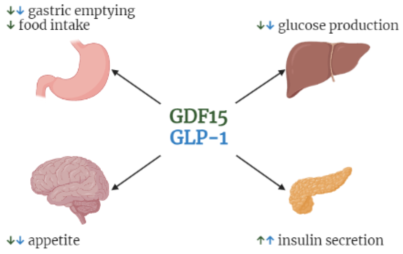 Nutrients 14 04066 g005 Nutrients 14 04066 g005