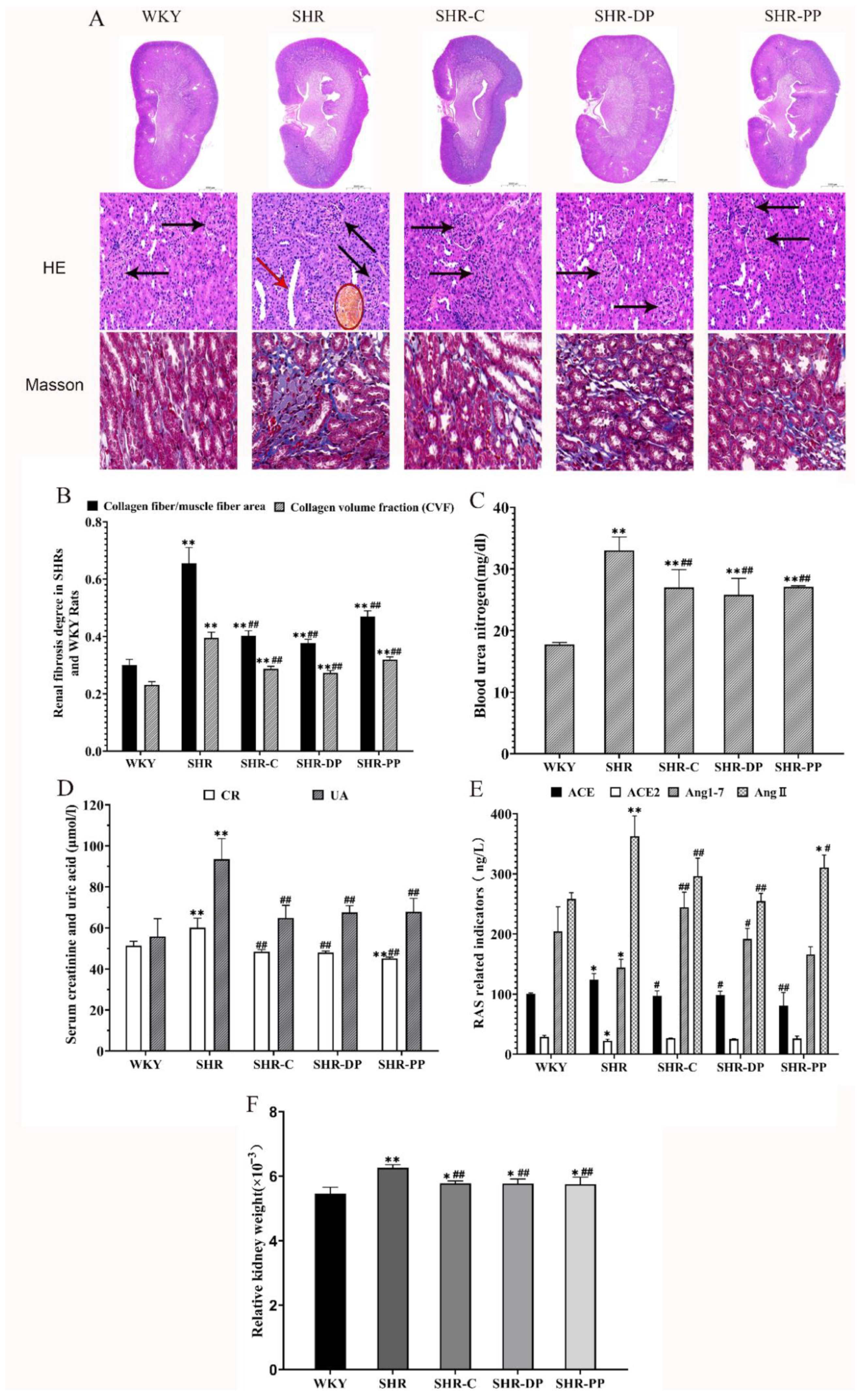 Nutrients 14 04069 g002