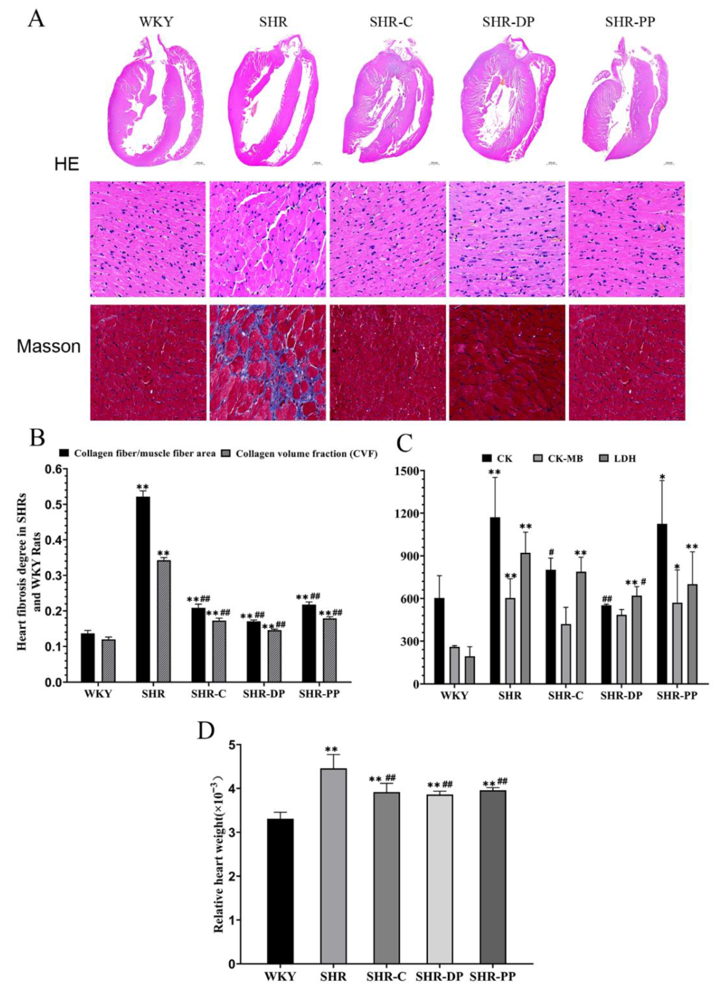 Nutrients 14 04069 g004