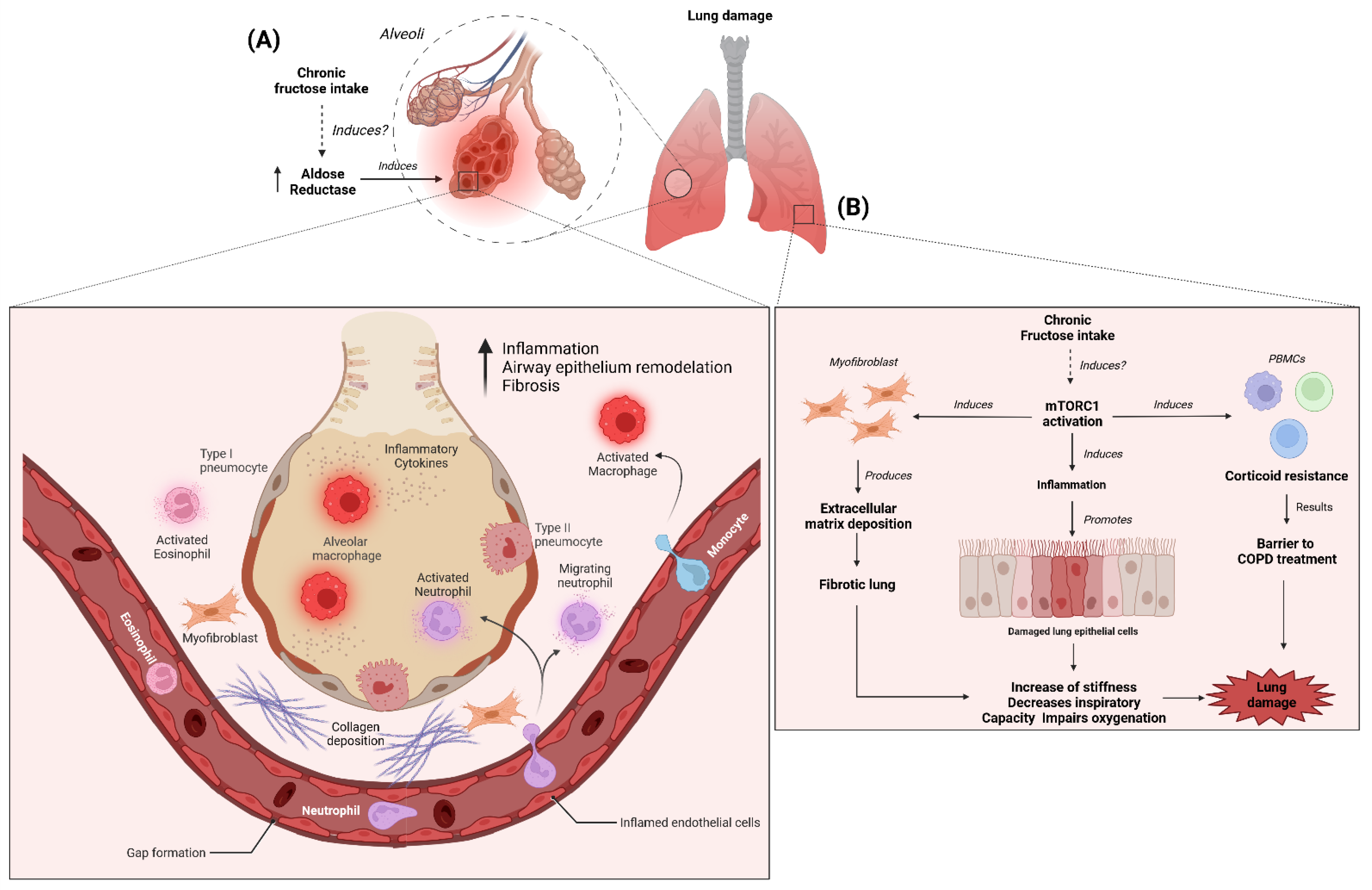 Nutrients 14 04089 g002 Nutrients 14 04089 g002
