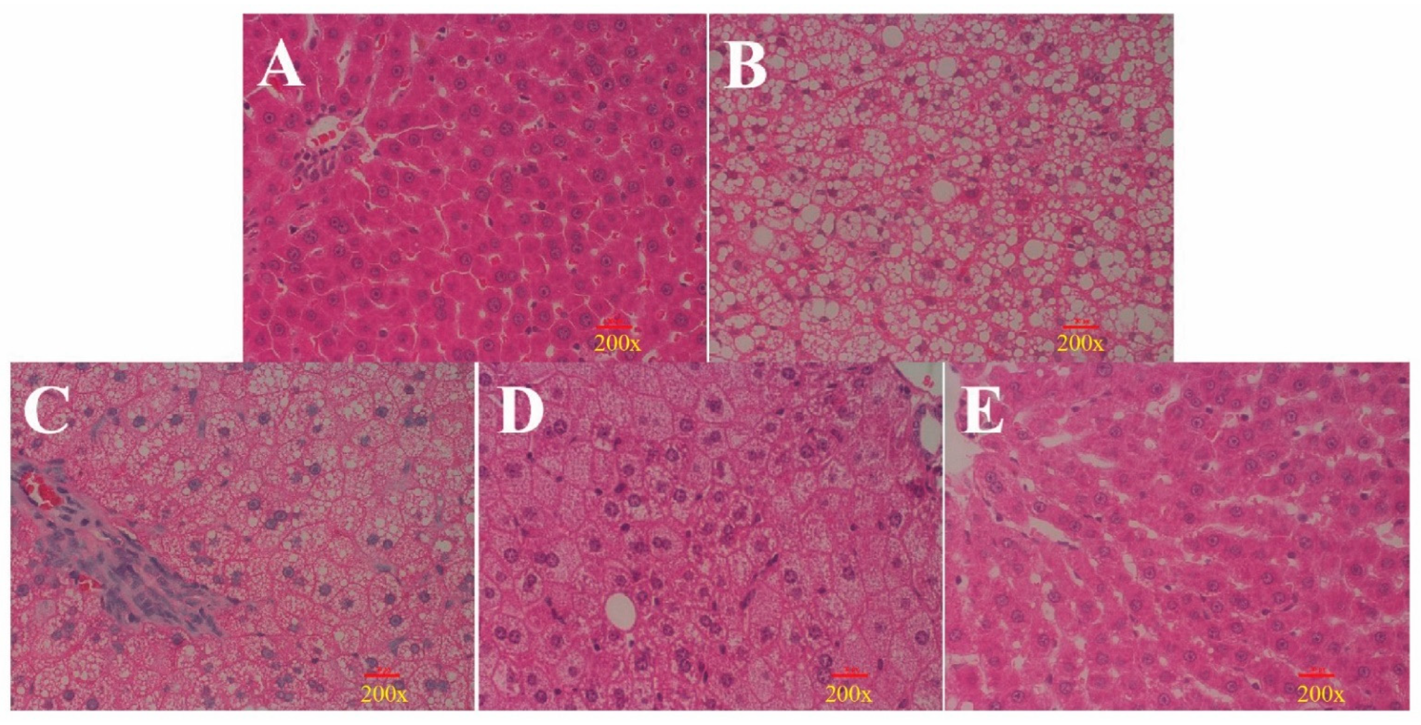 Nutrients 14 04092 g005