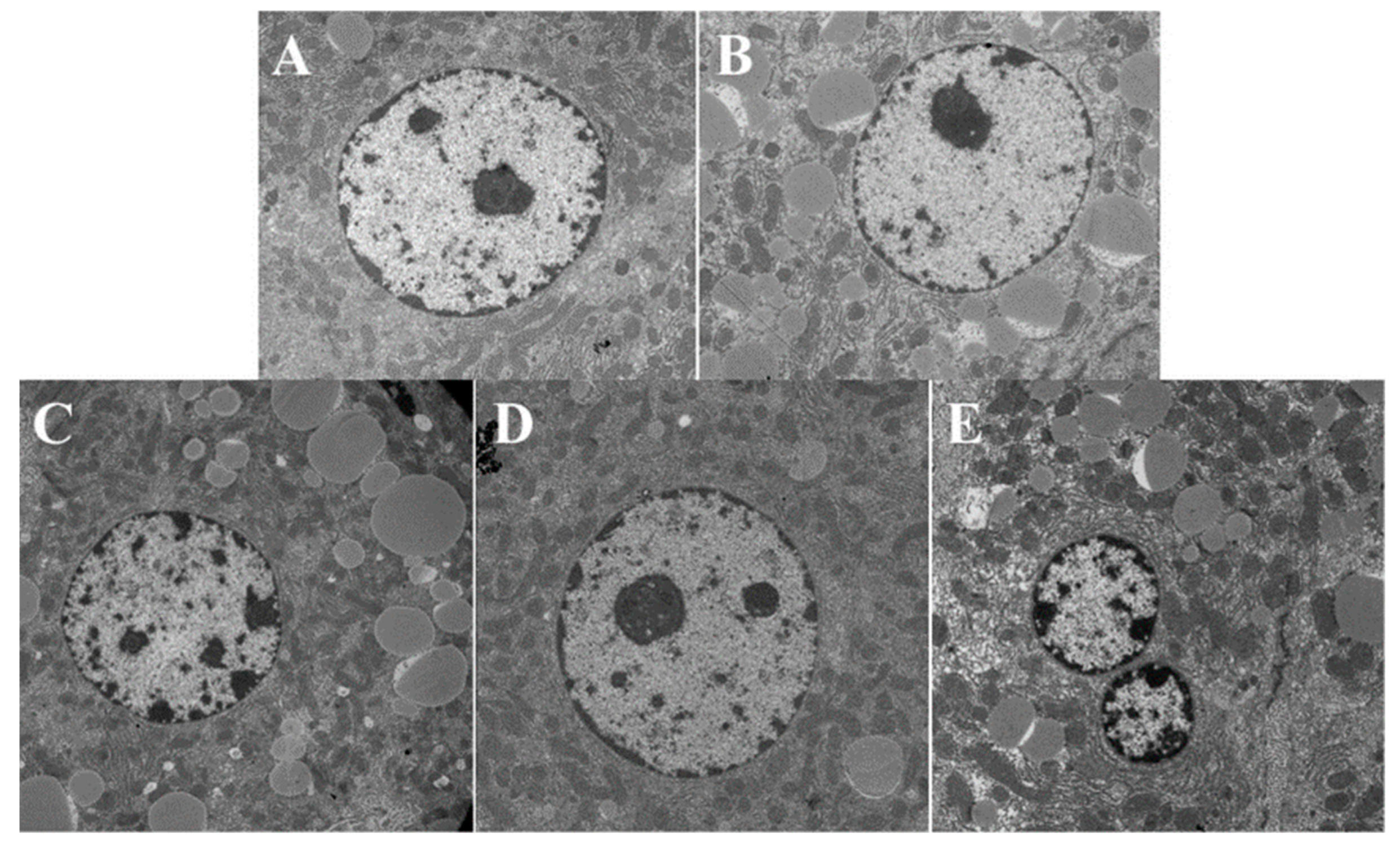 Nutrients 14 04092 g006
