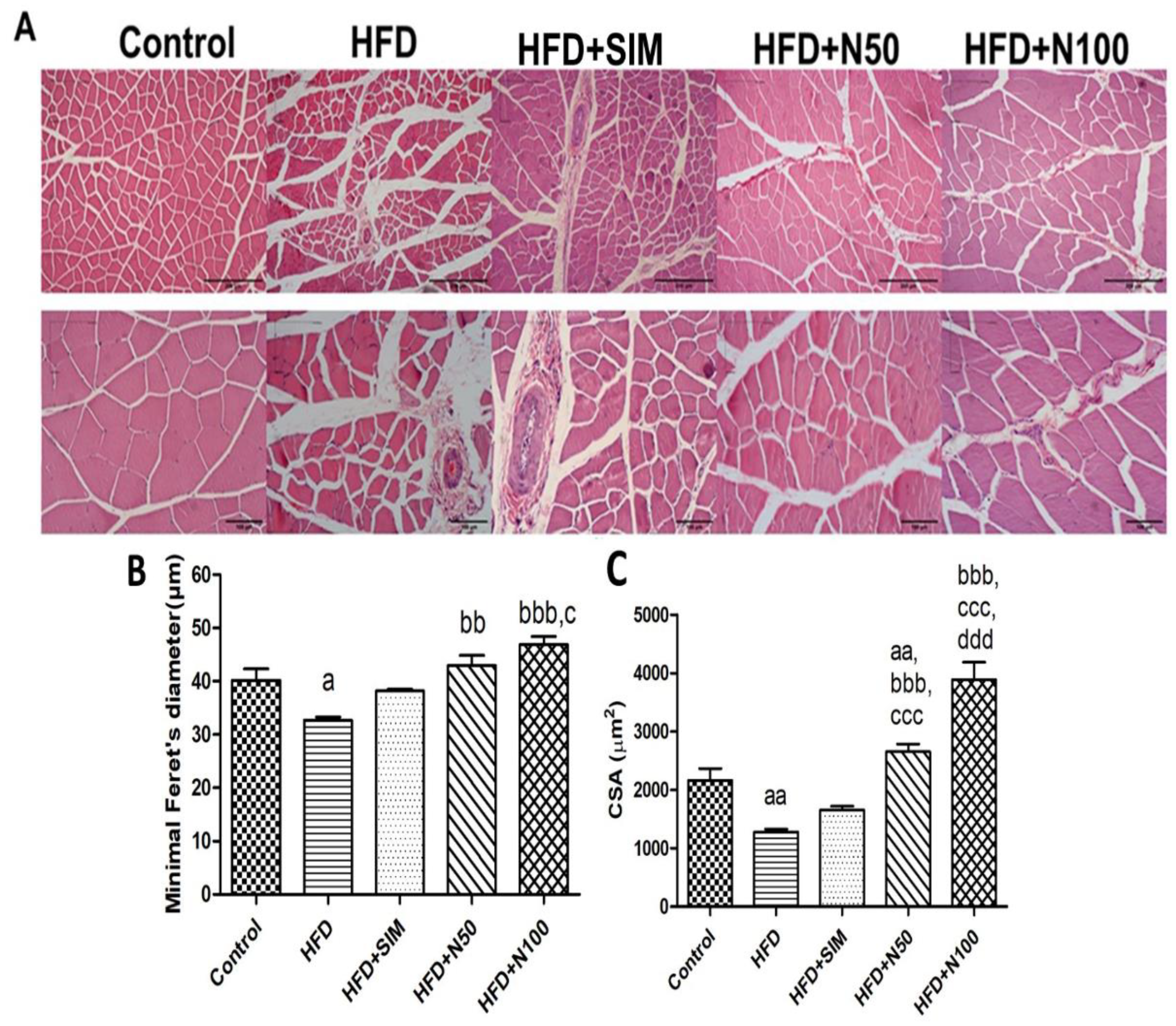 Nutrients 14 04120 g005 Nutrients 14 04120 g005