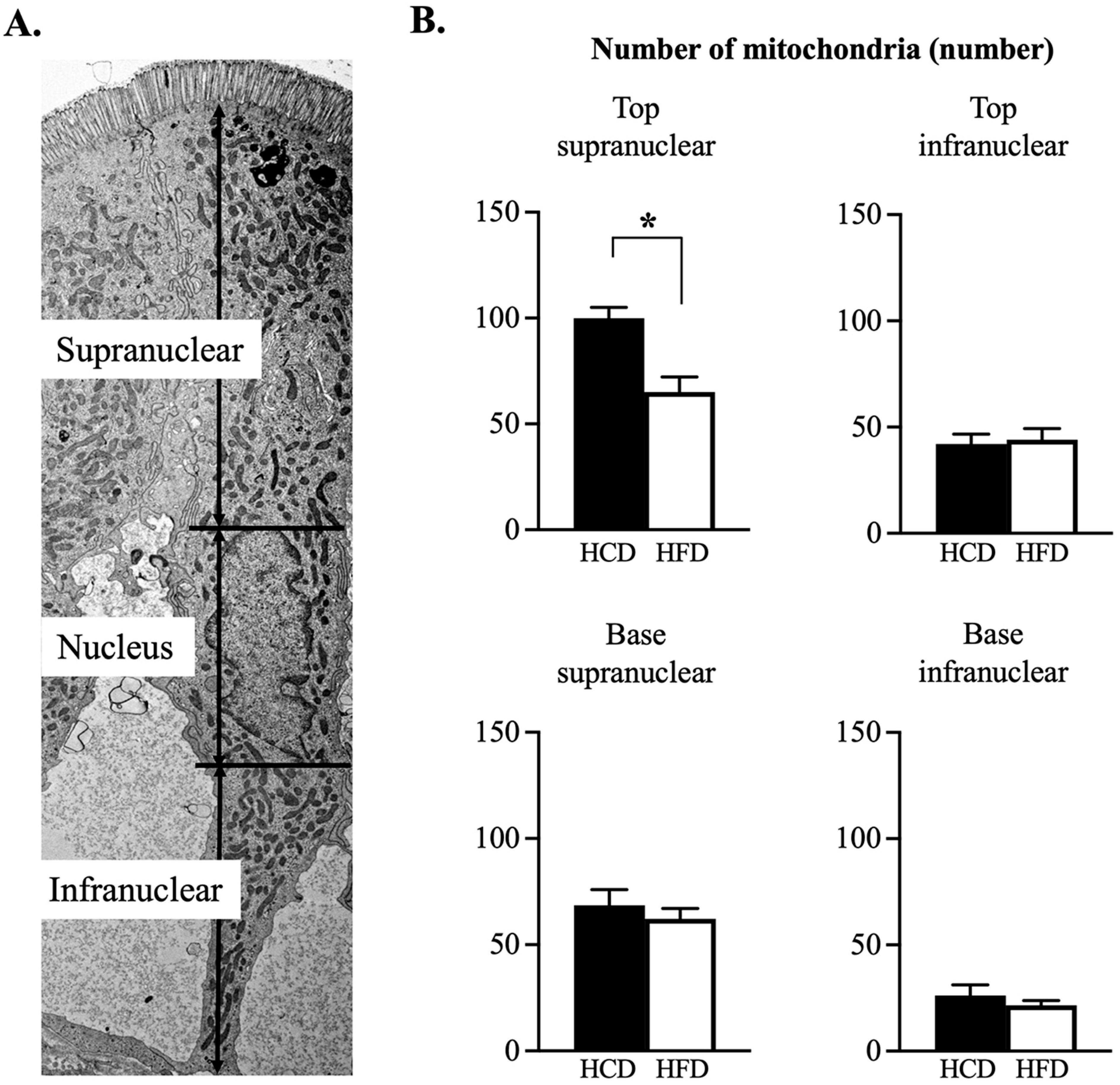 Nutrients 14 04123 g003