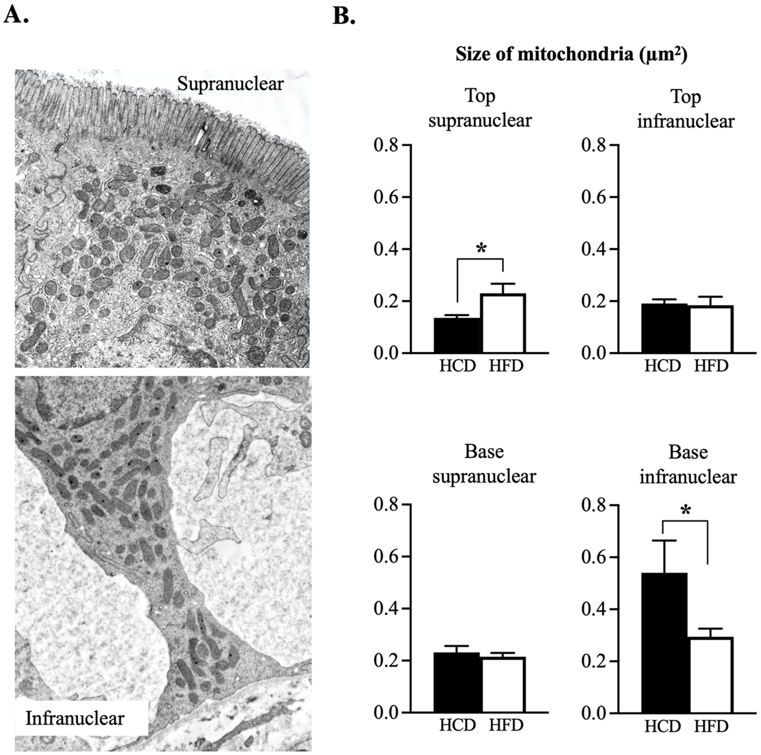 Nutrients 14 04123 g004