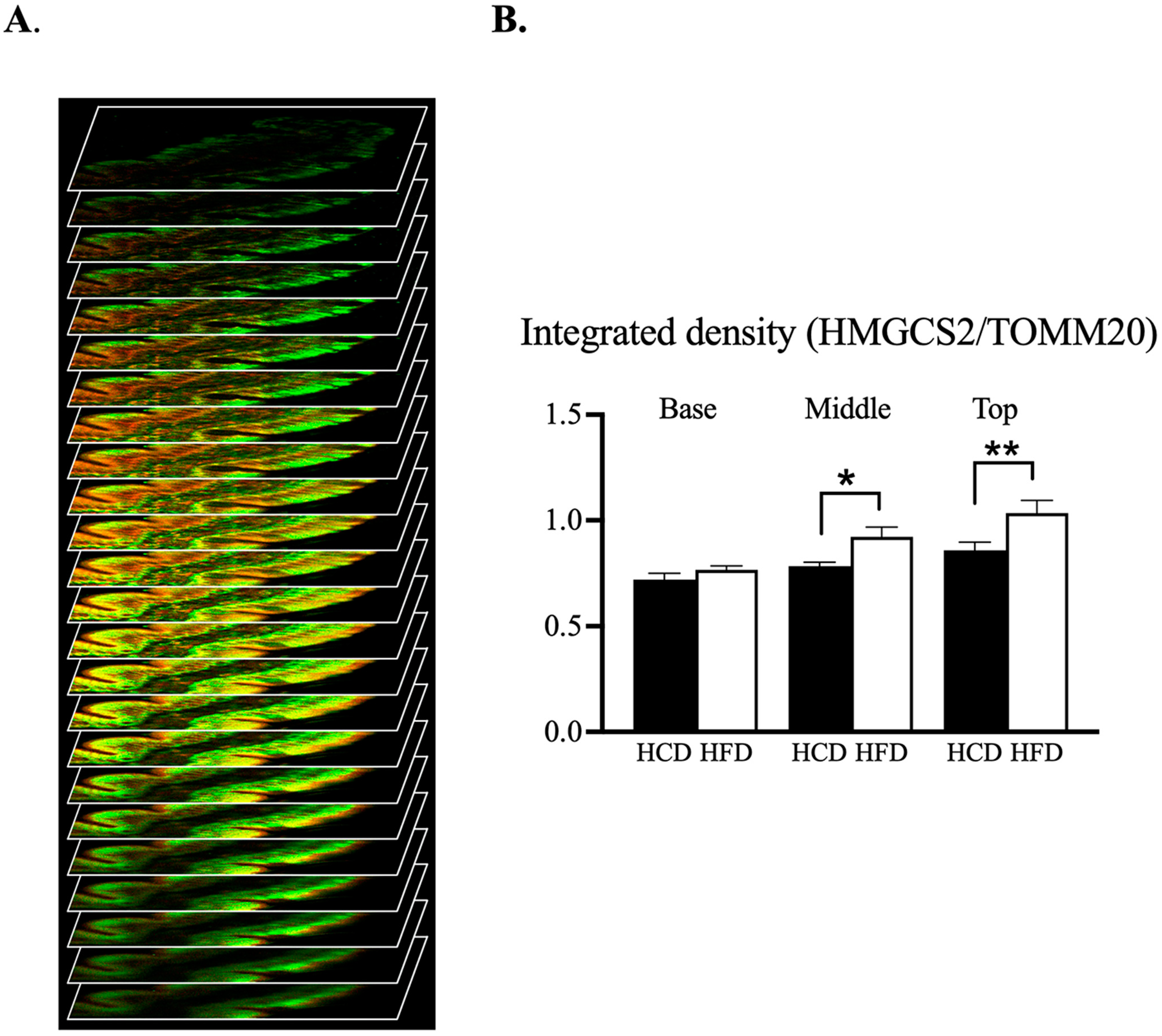 Nutrients 14 04123 g006