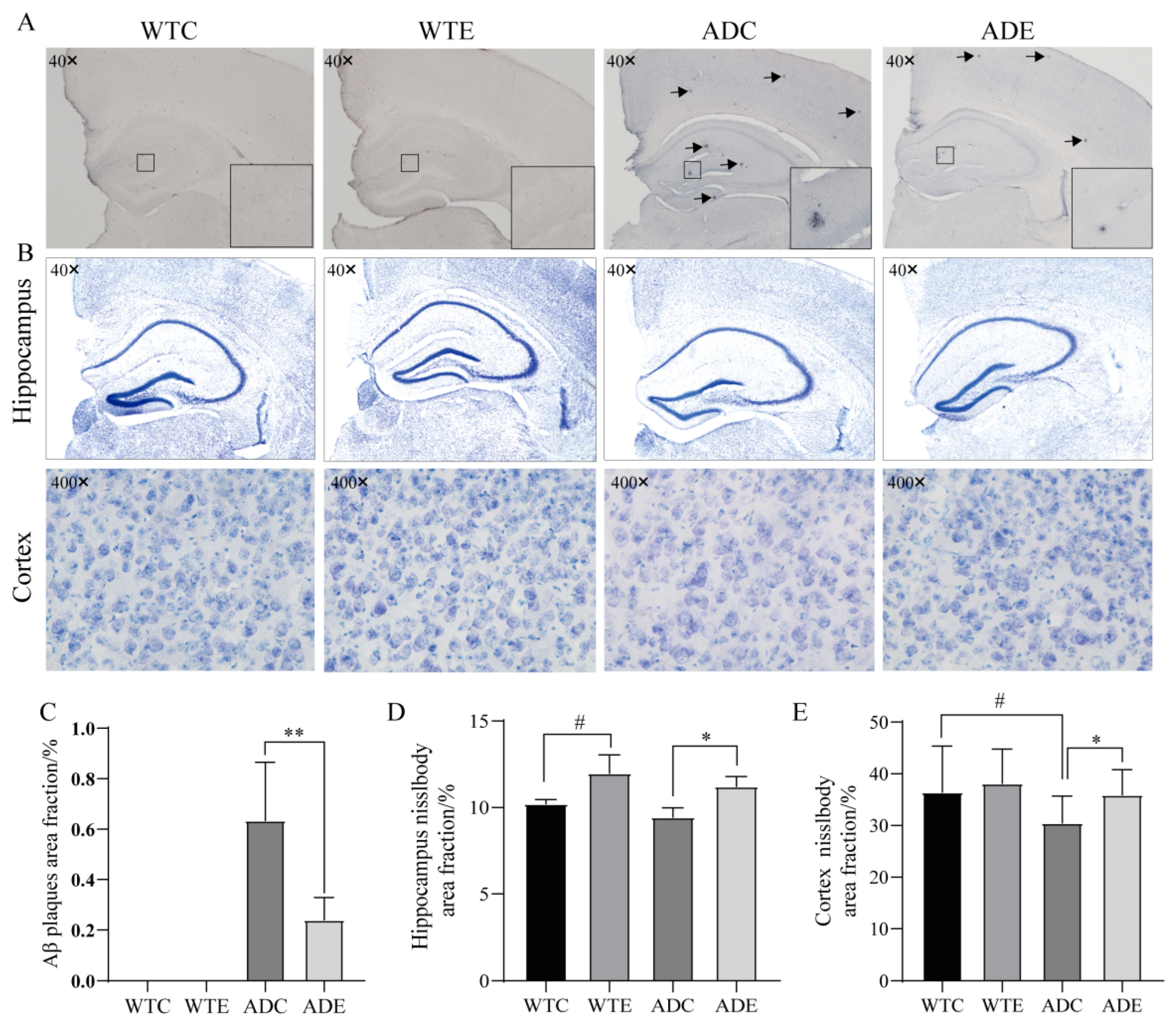 Nutrients 14 04134 g003 Nutrients 14 04134 g003