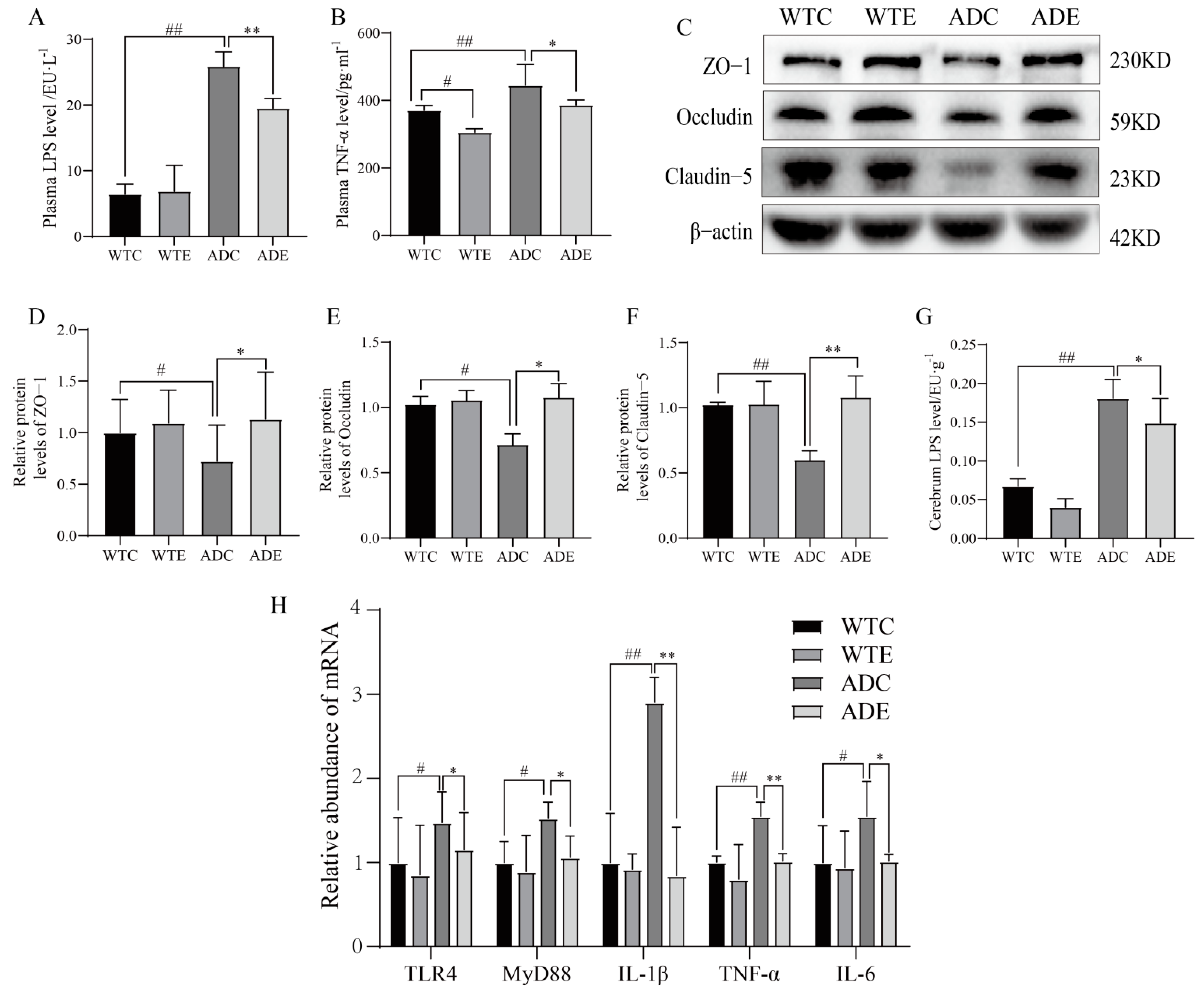 Nutrients 14 04134 g006 Nutrients 14 04134 g006