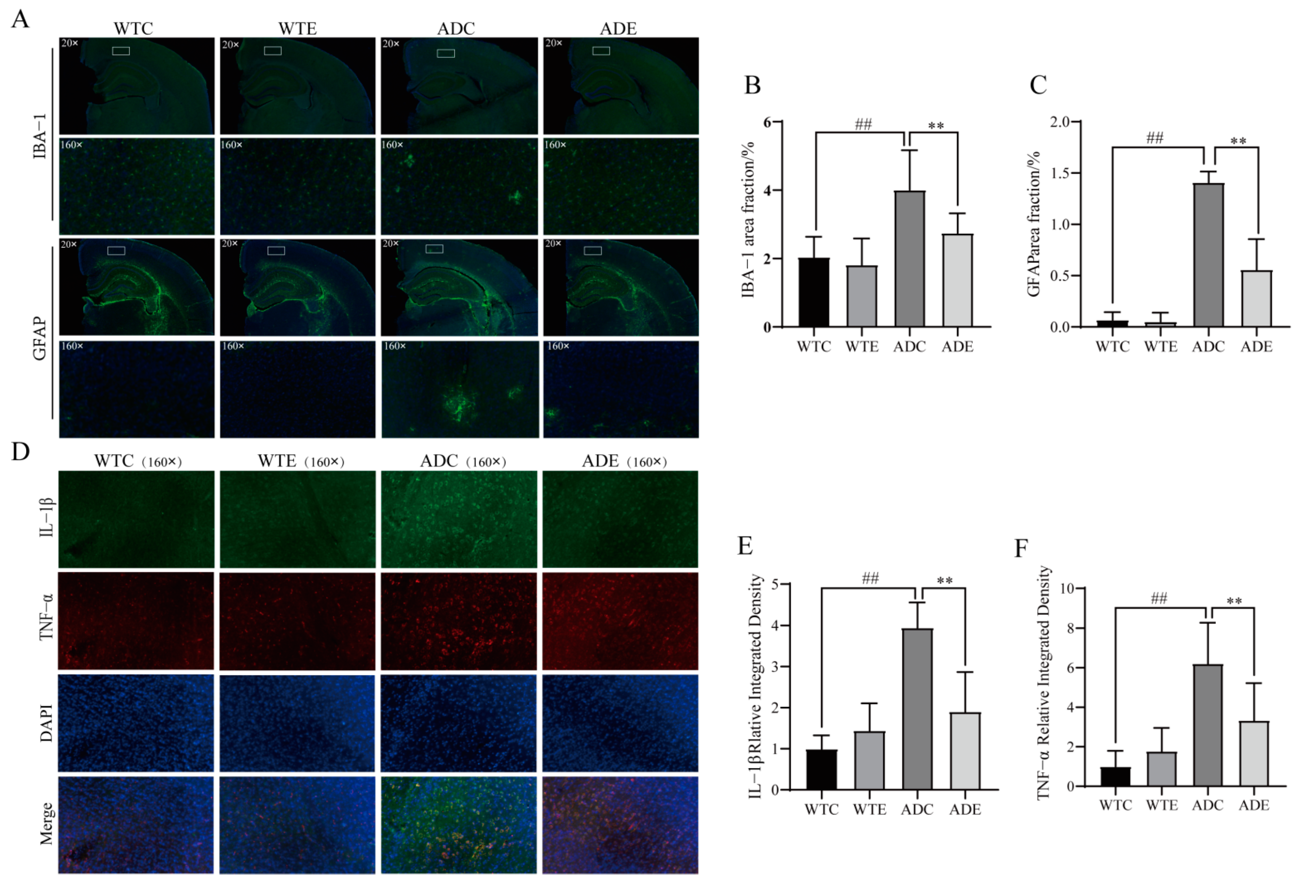 Nutrients 14 04134 g007 Nutrients 14 04134 g007