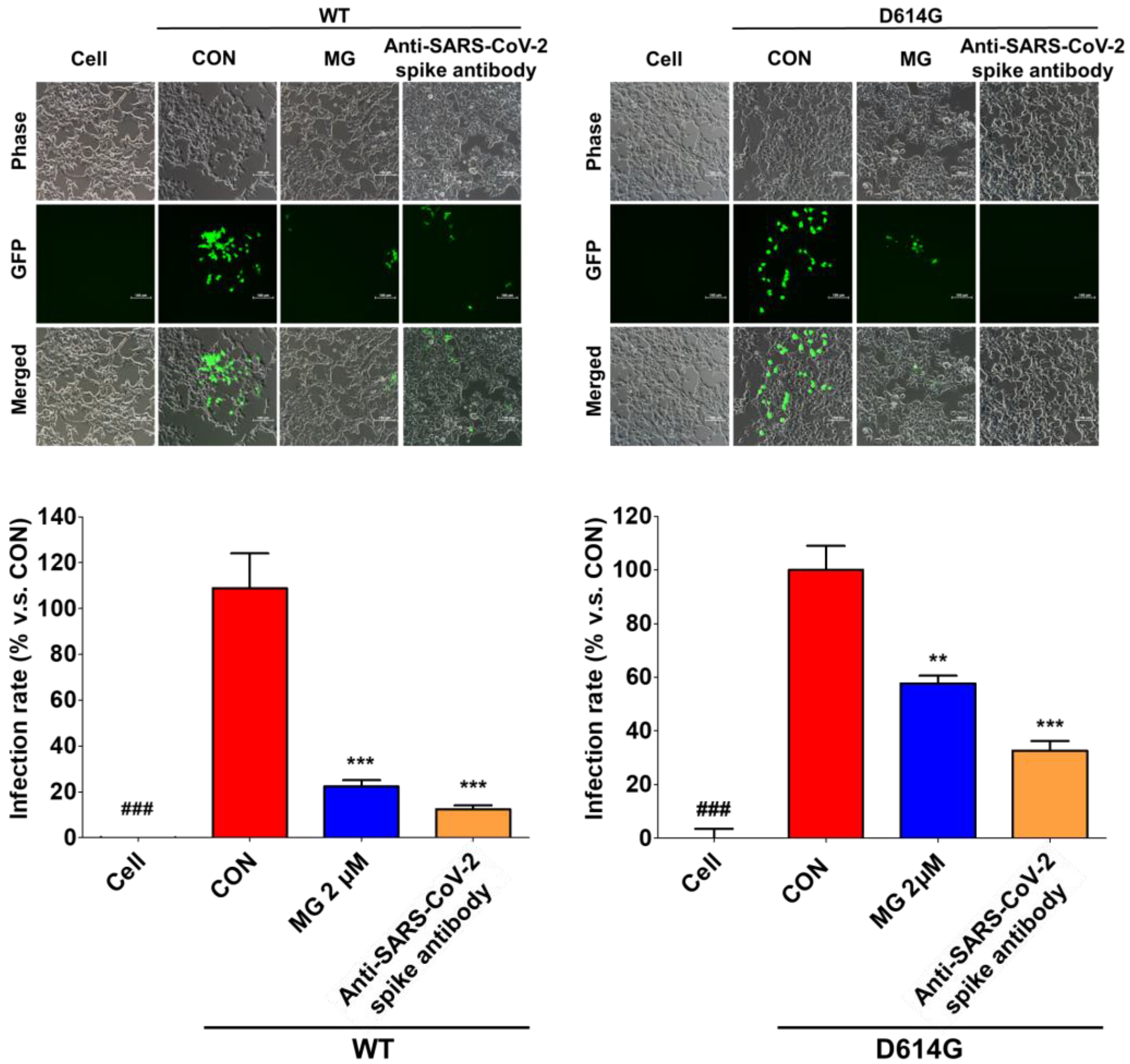 Nutrients 14 04170 g005