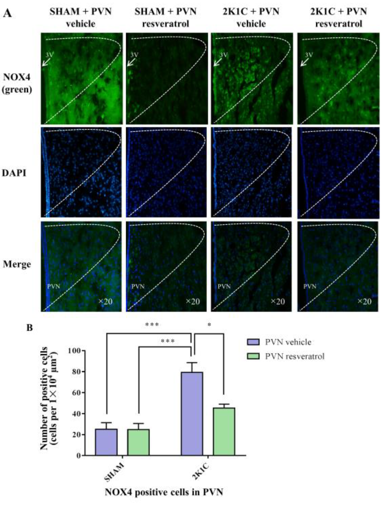 Nutrients 14 04177 g006 Nutrients 14 04177 g006