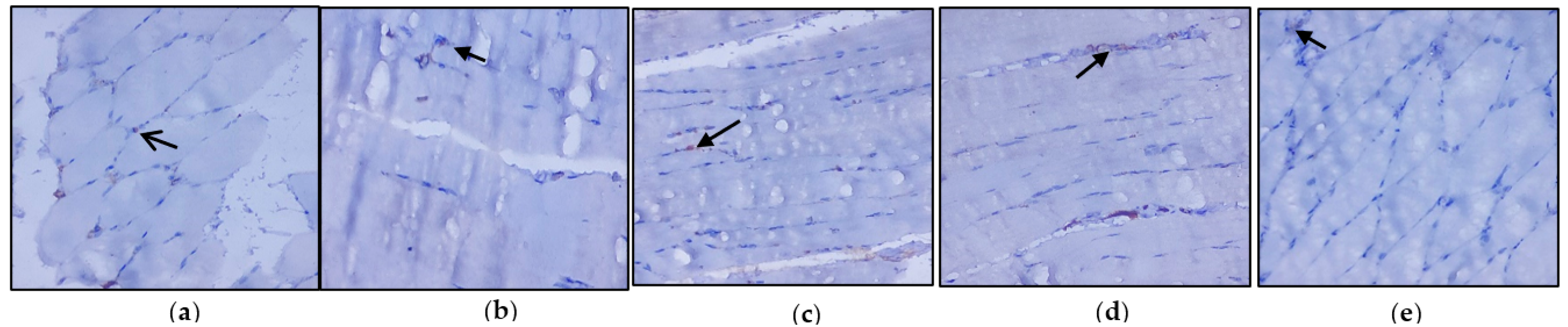 Nutrients 14 04181 g004