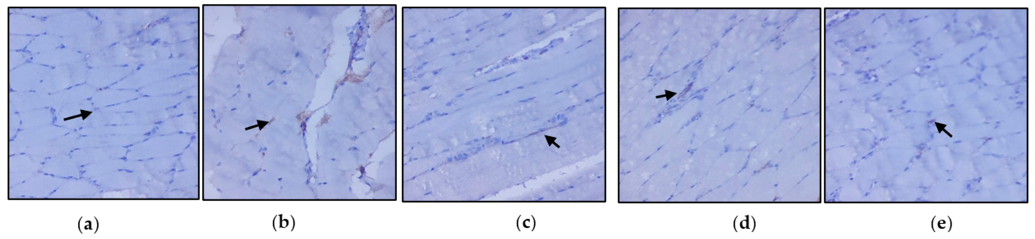 Nutrients 14 04181 g005