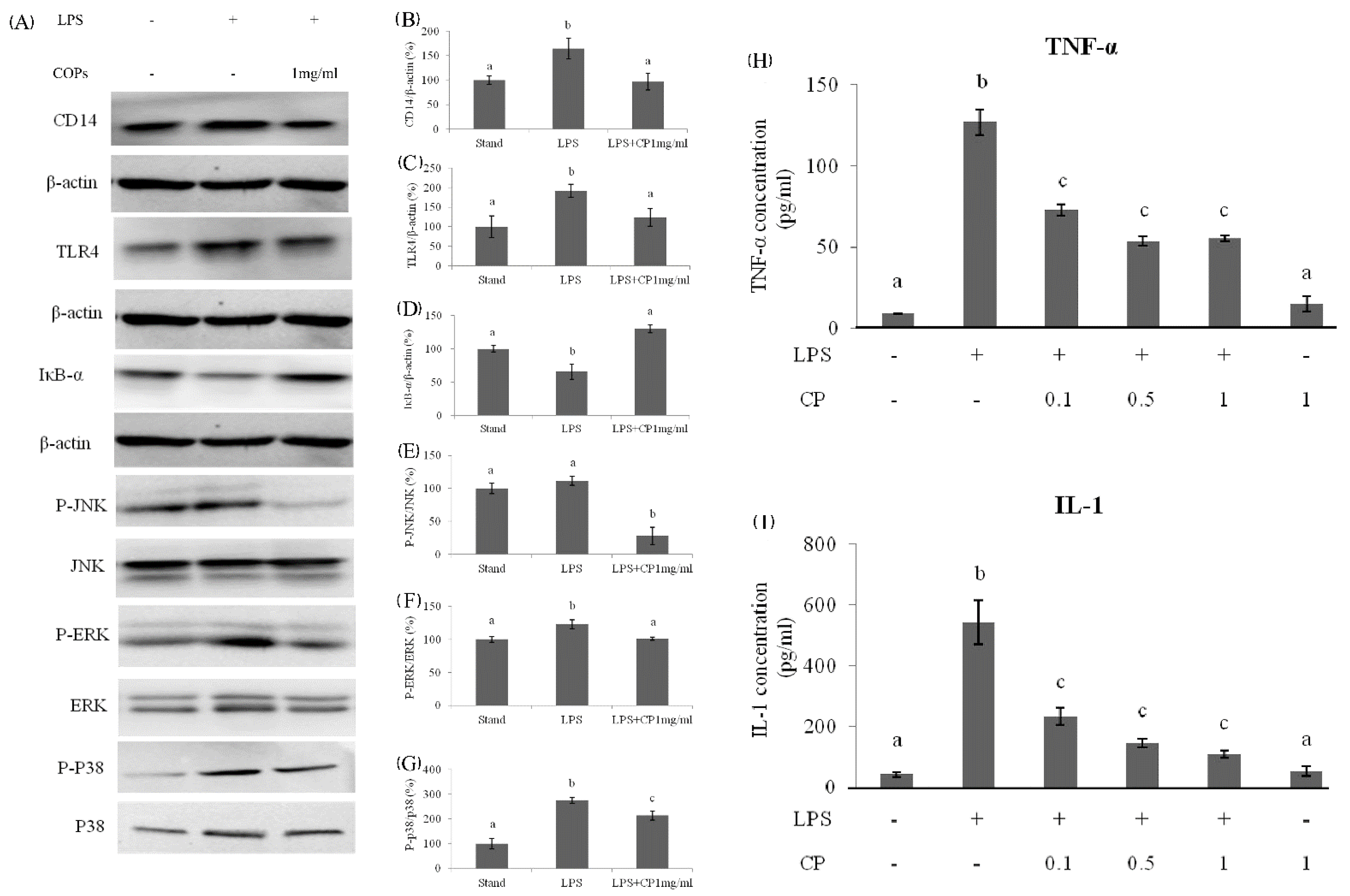 Nutrients 14 04194 g007 Nutrients 14 04194 g007