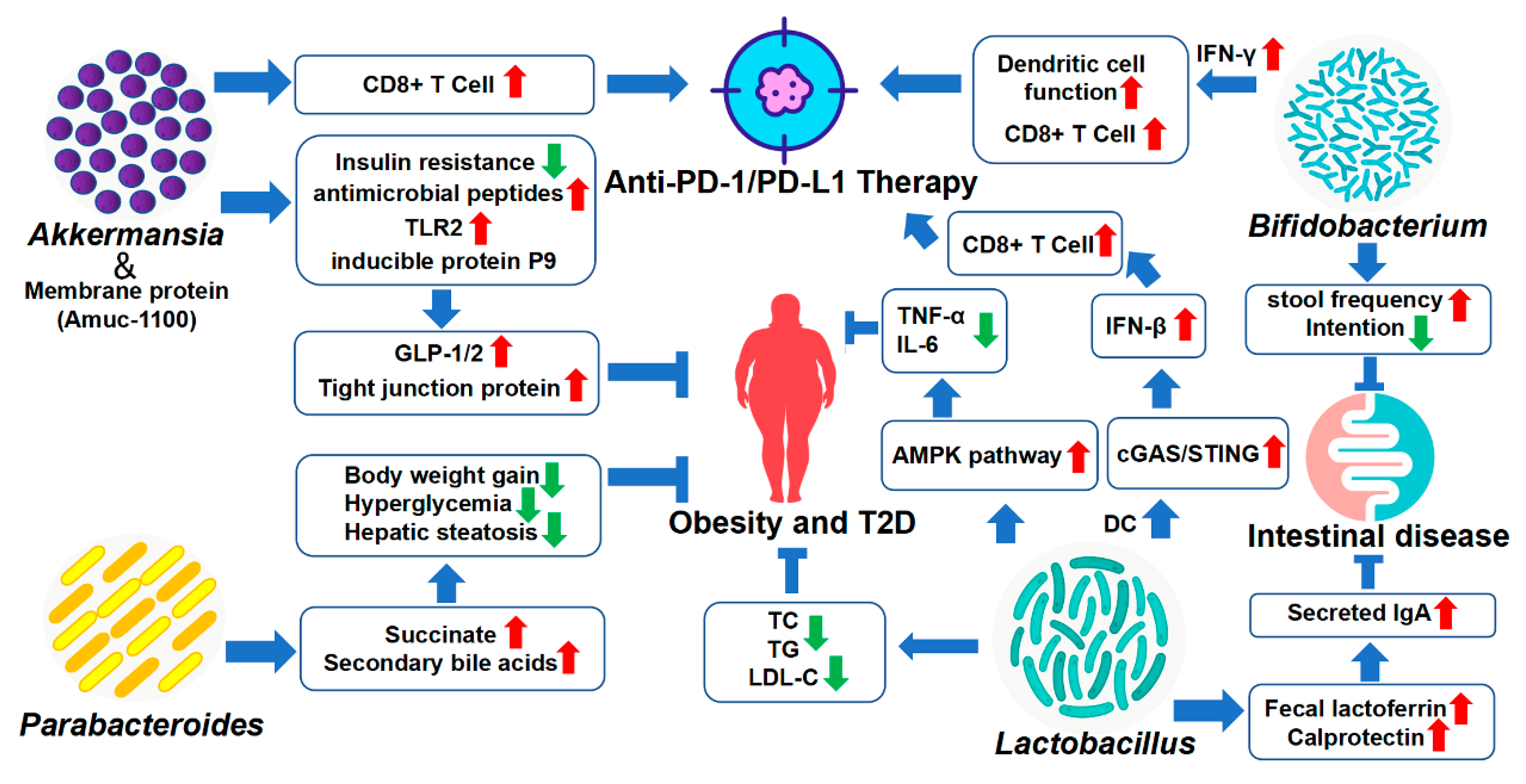 Nutrients 14 04220 g002