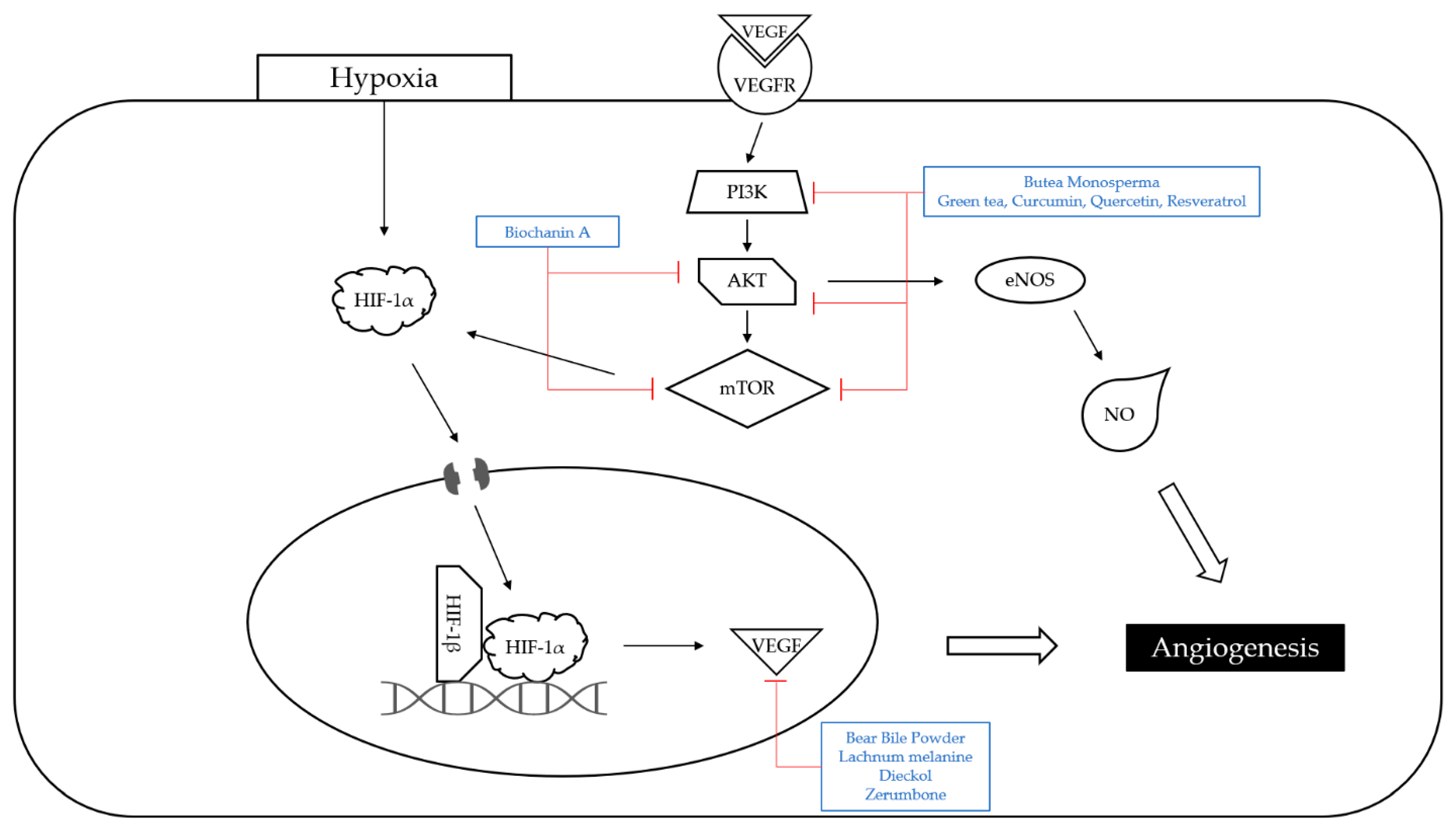 Nutrients 14 04252 g003