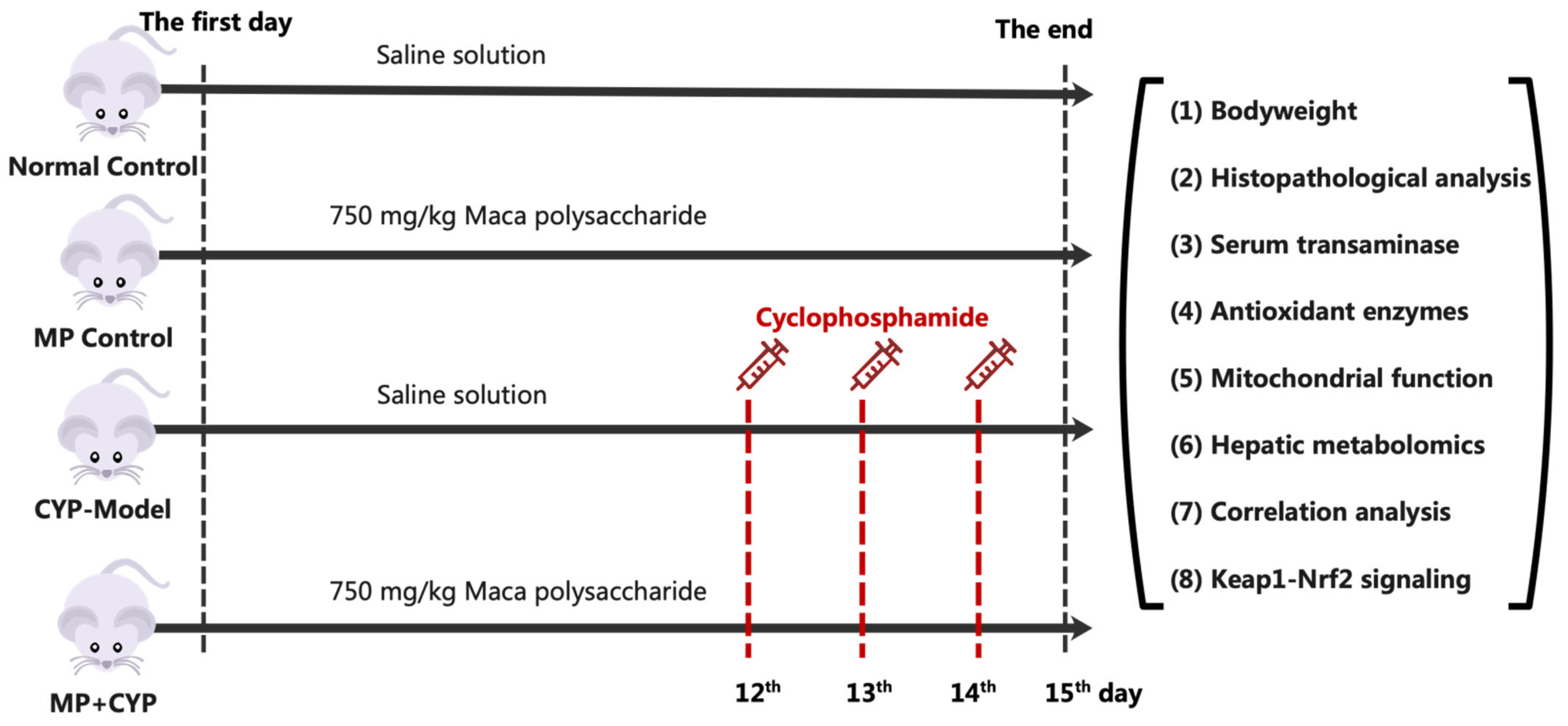 Nutrients 14 04264 g001