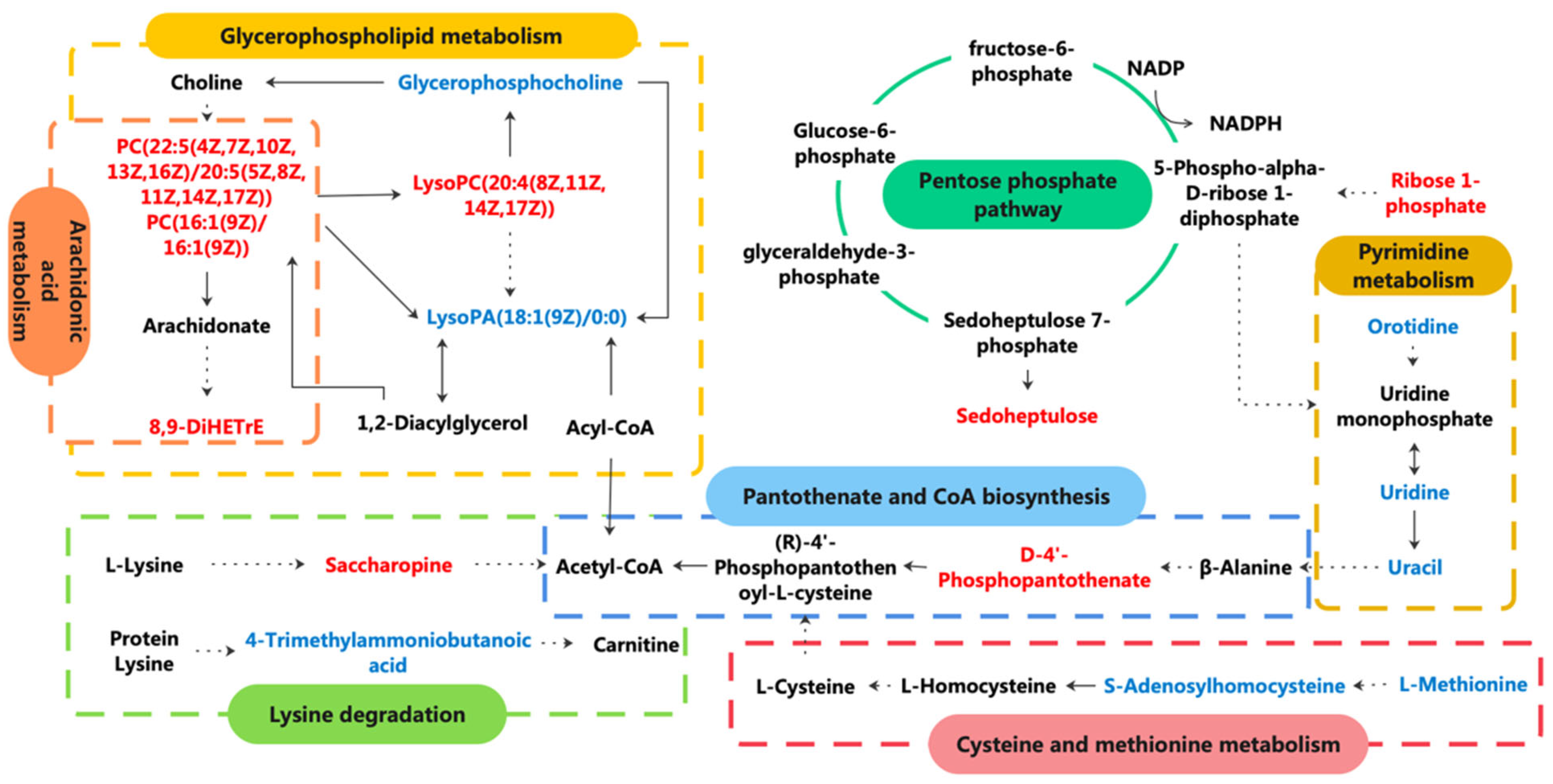 Nutrients 14 04264 g012