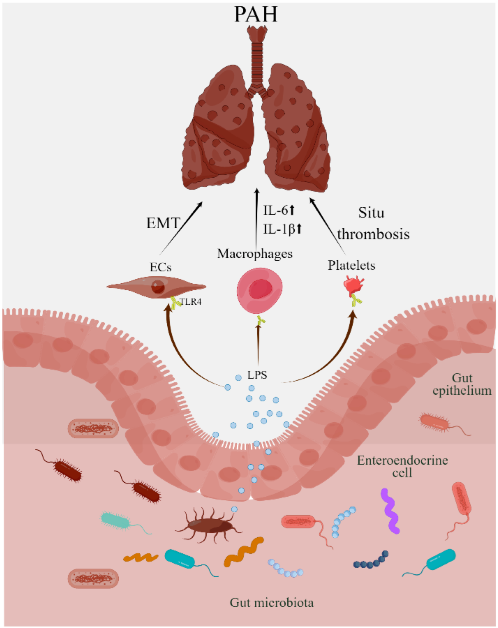Nutrients 14 04278 g002