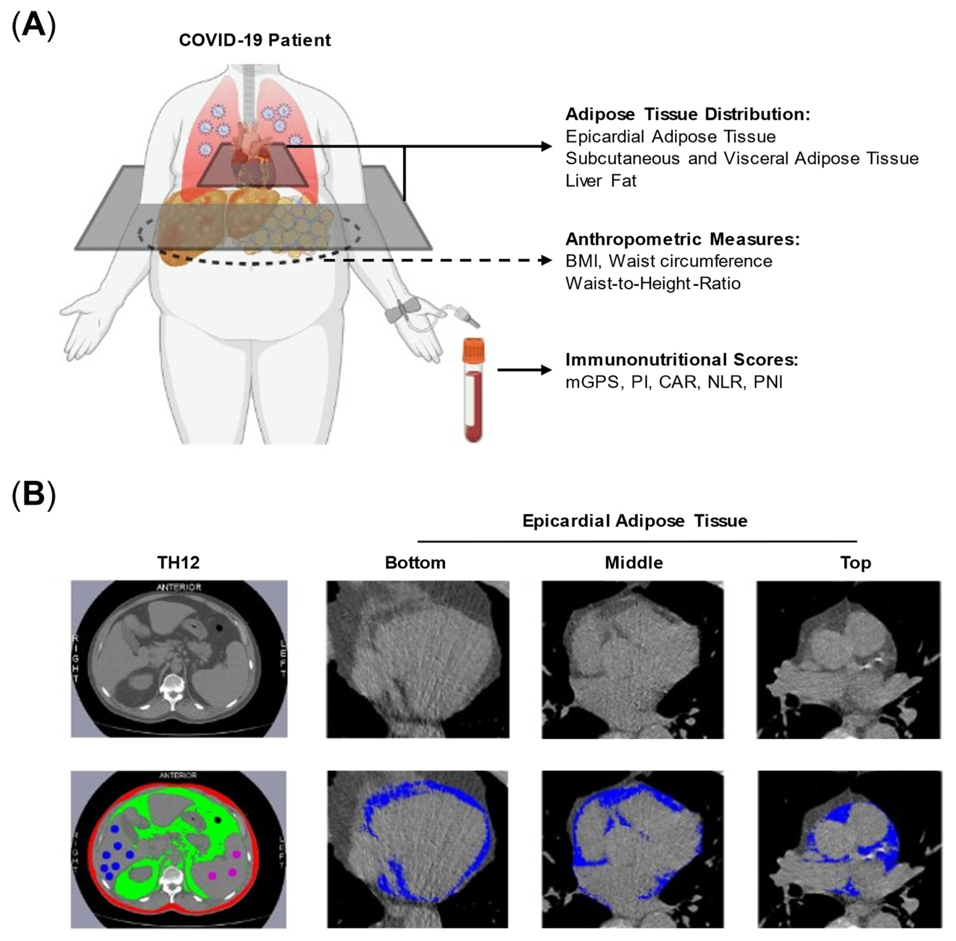 Nutrients 14 04280 g001