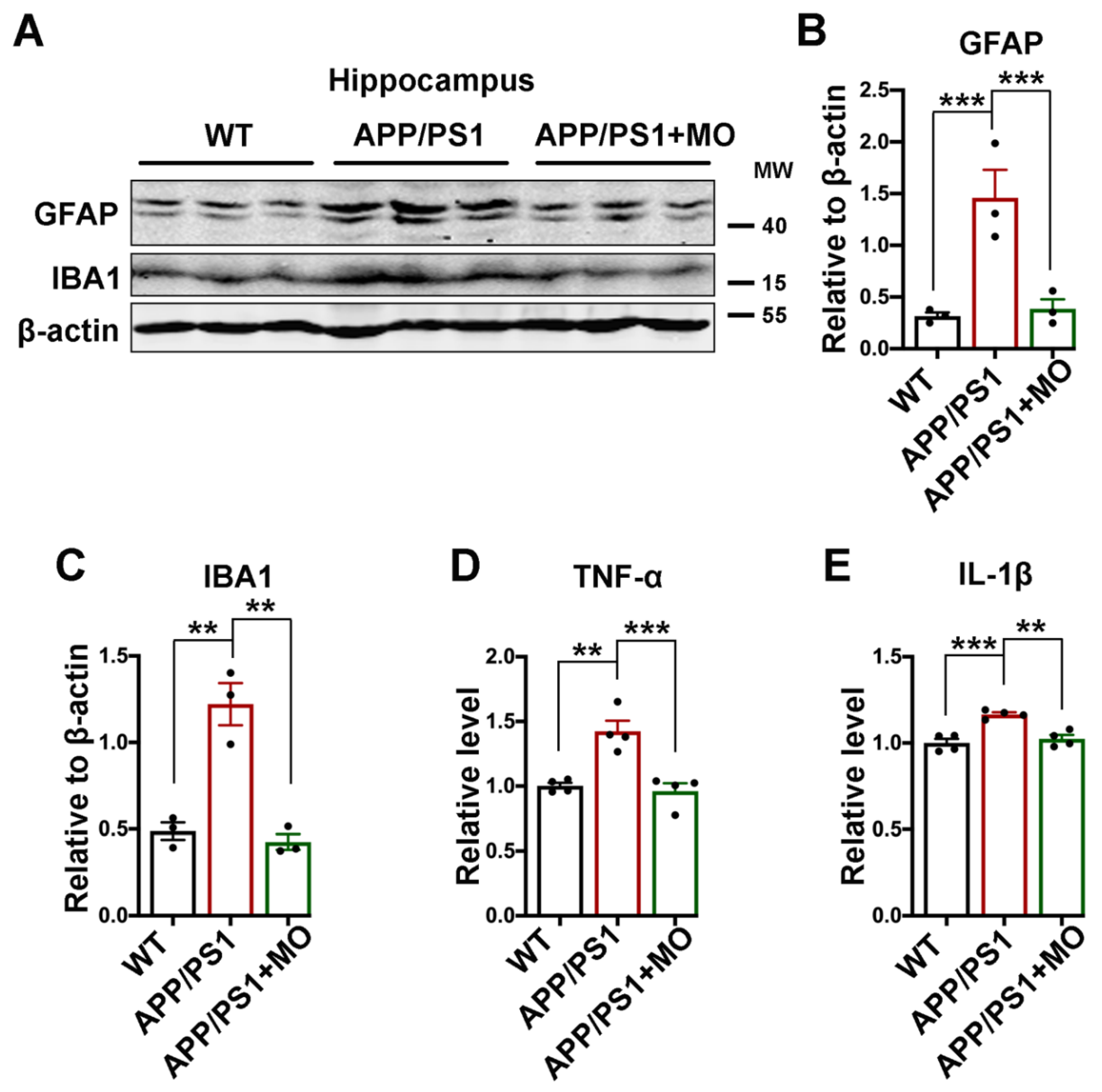 Nutrients 14 04284 g007 Nutrients 14 04284 g007