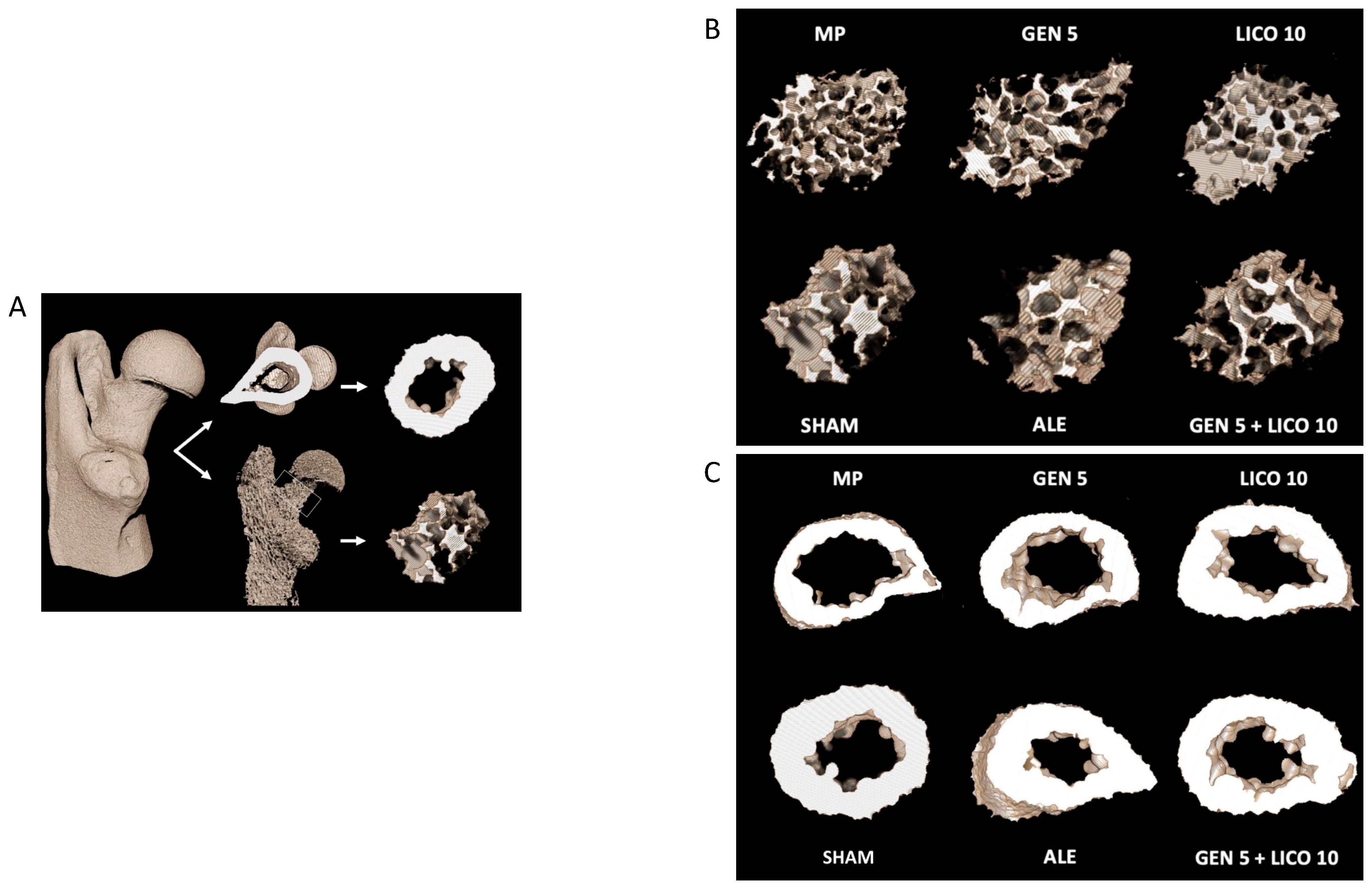Nutrients 14 04296 g003 Nutrients 14 04296 g003