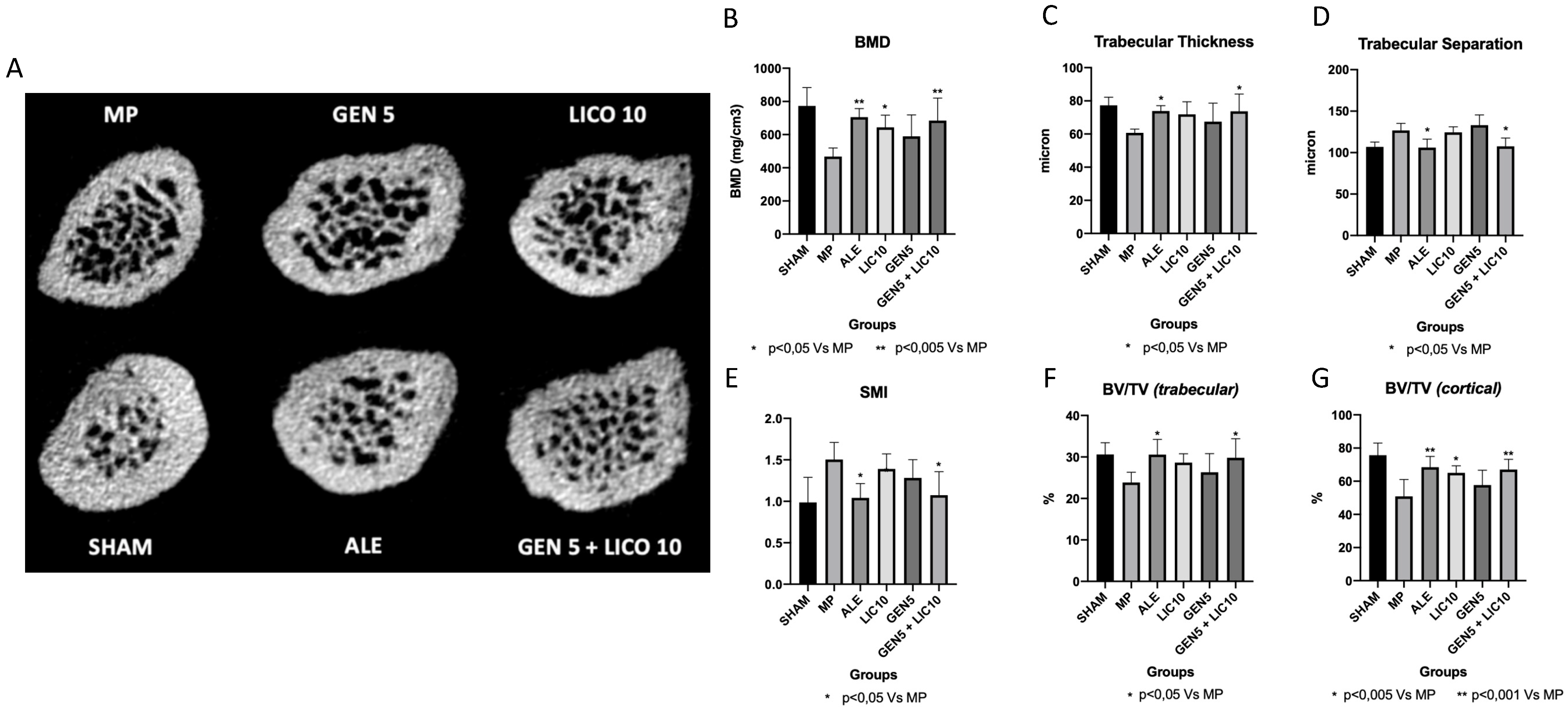 Nutrients 14 04296 g004 Nutrients 14 04296 g004