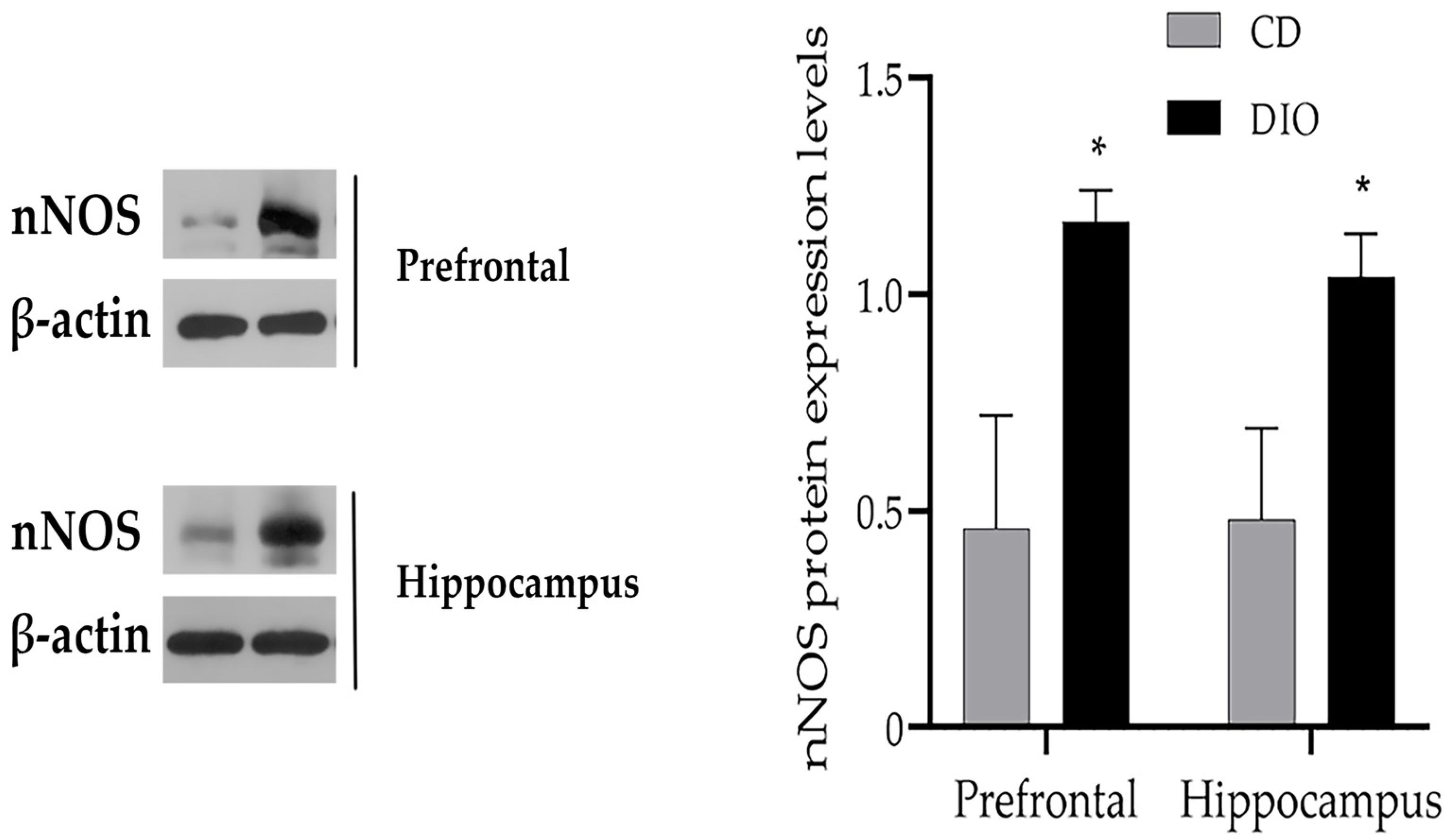 Nutrients 14 04302 g007 Nutrients 14 04302 g007