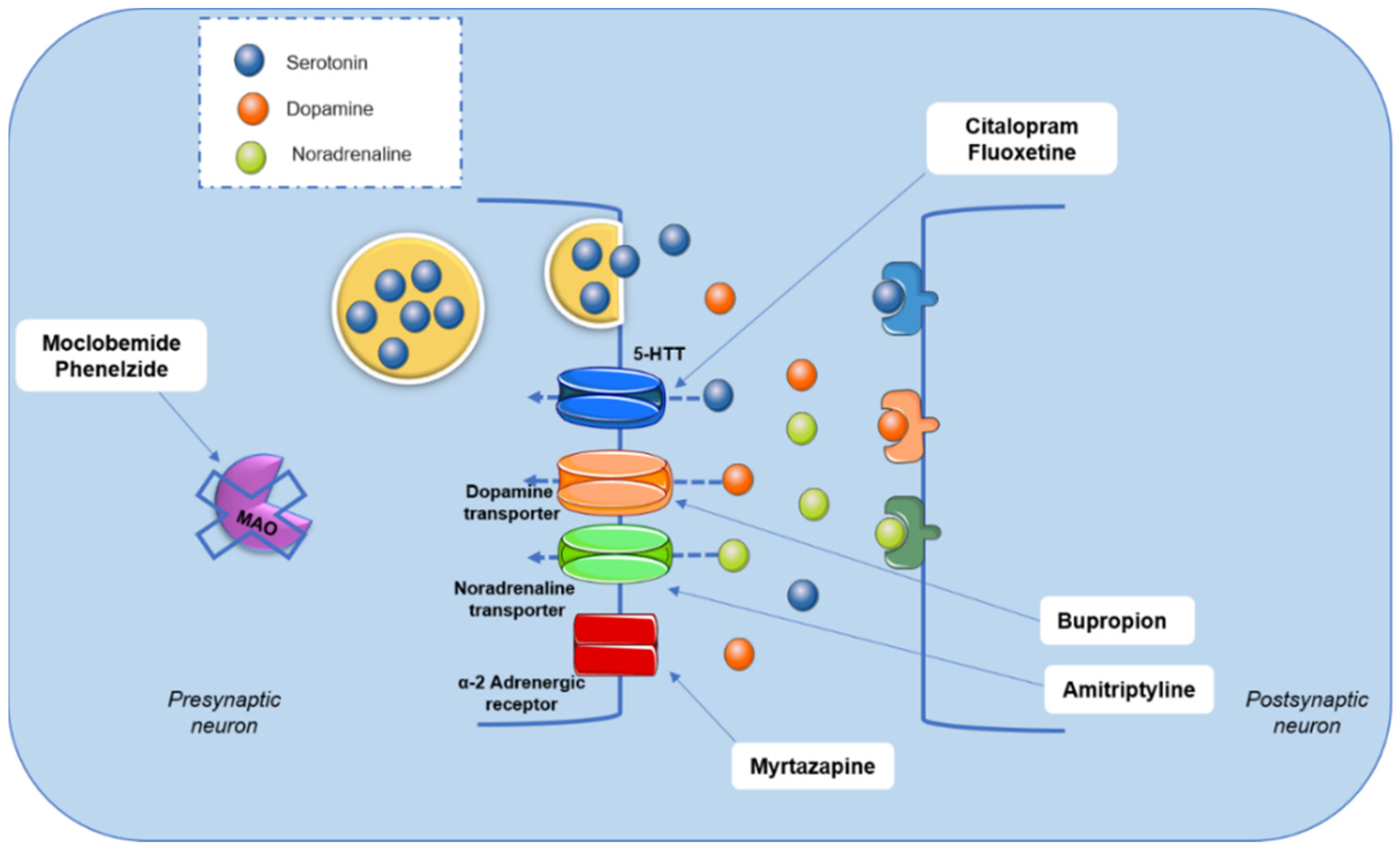 Nutrients 14 04309 g002
