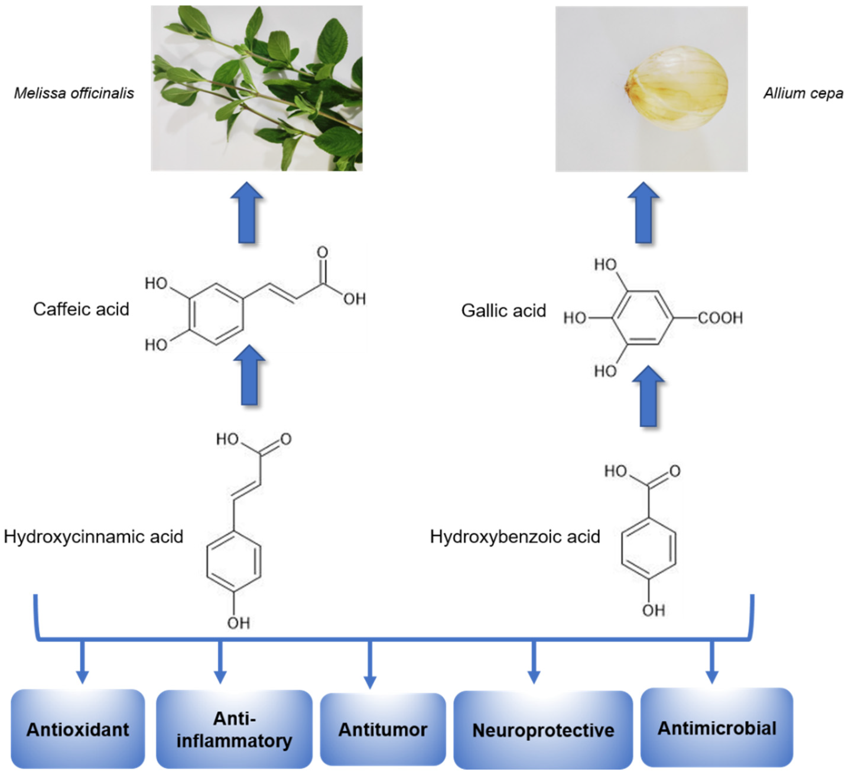 Nutrients 14 04309 g003